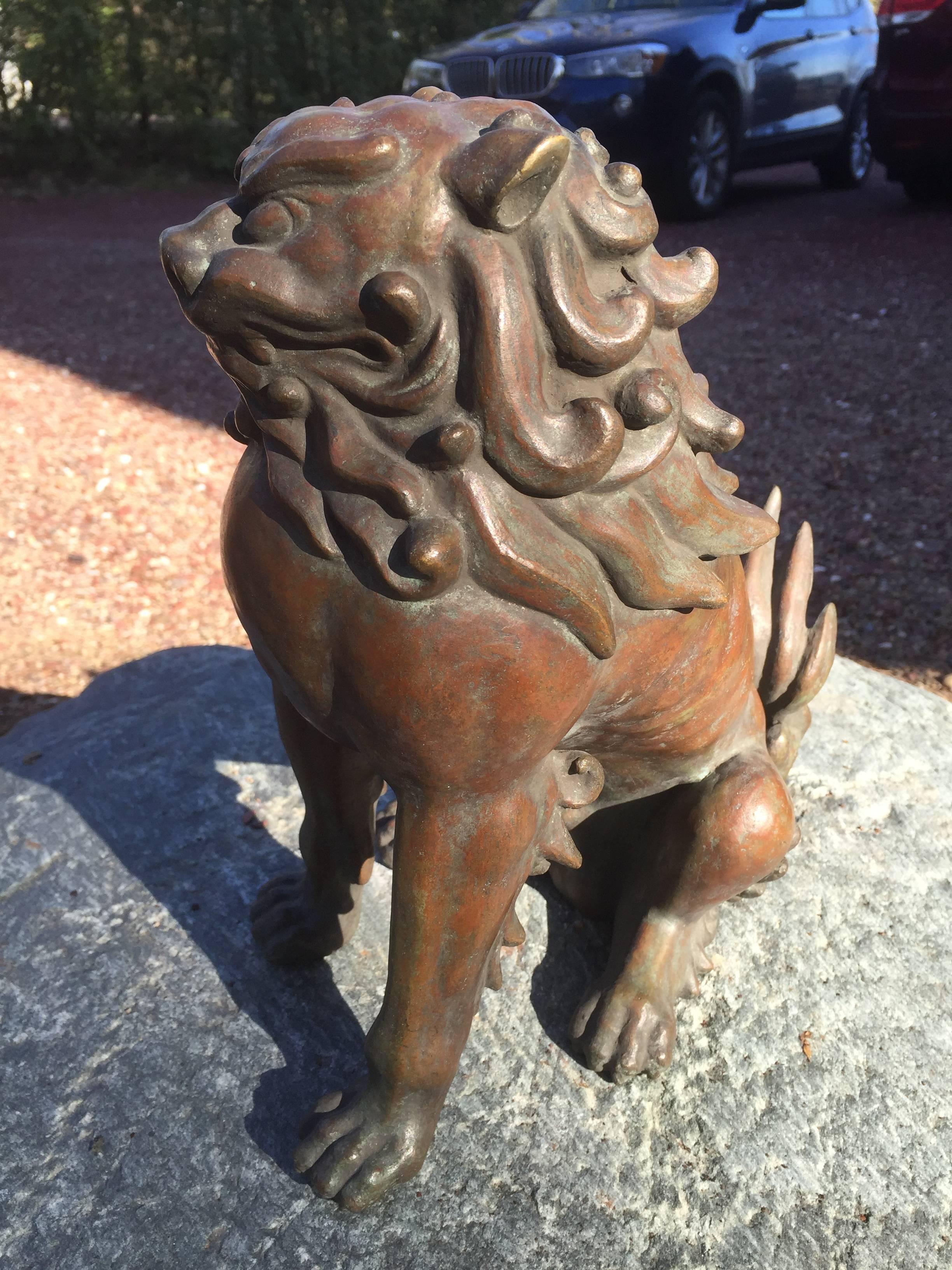 Cast Japanese Fine Bronze Antique Lion Garden Dog with original collector box