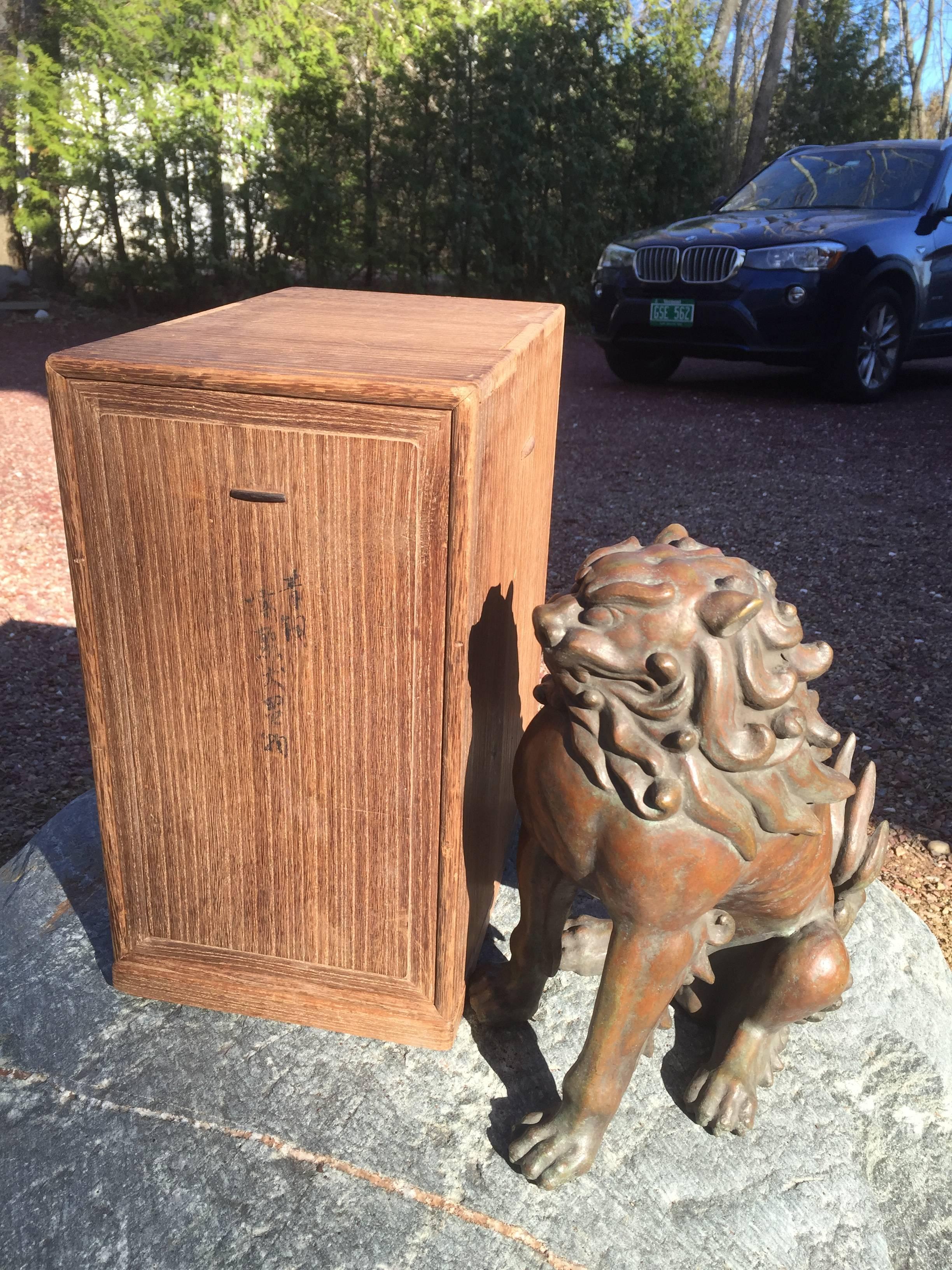 Japanese Fine Bronze Antique Lion Garden Dog with original collector box 2