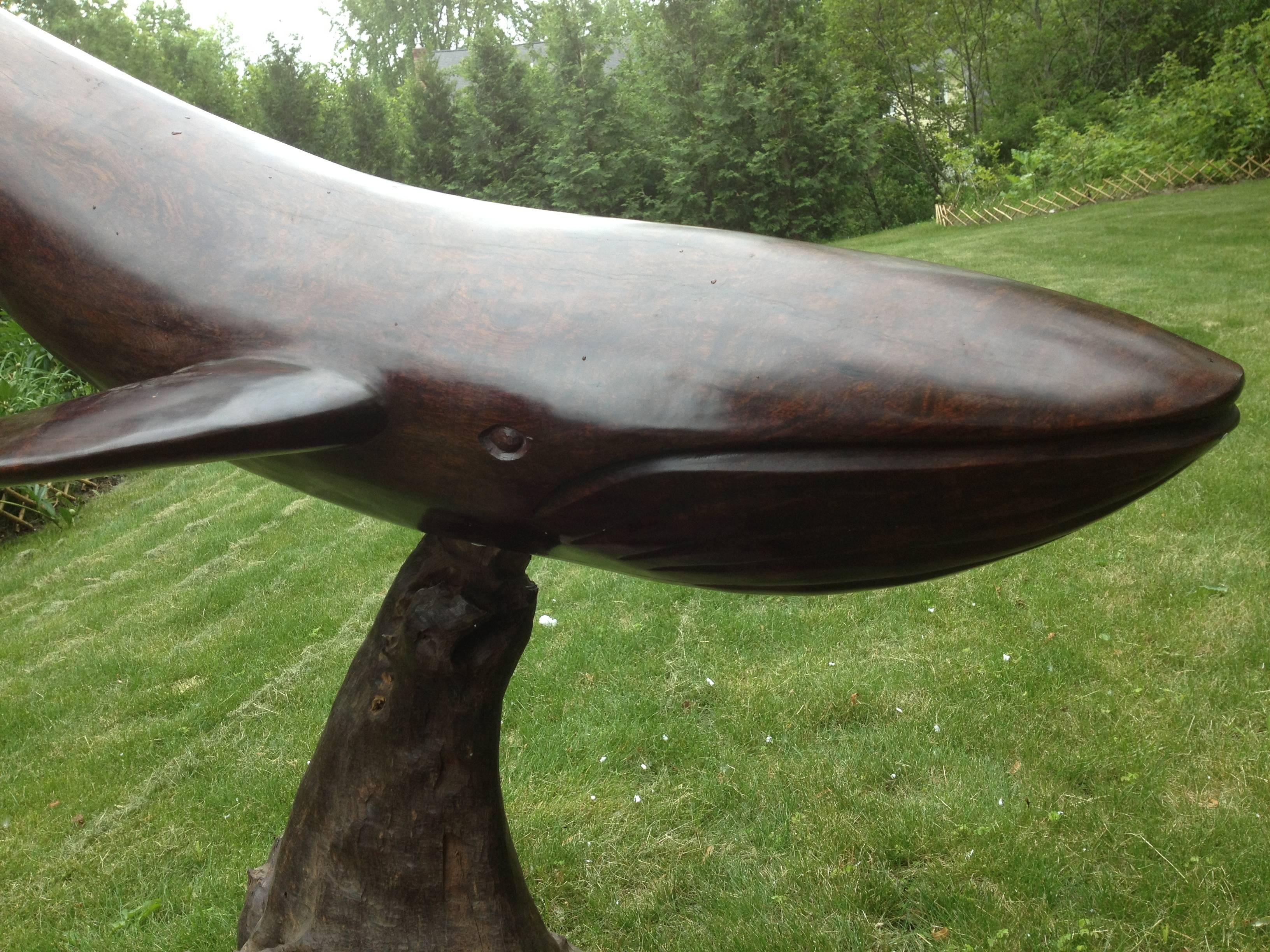 America’s, a monumental carved wooden whale, early to mid-20th century.
The large simply carved mammal fashioned from a heavy, dense ironwood and sitting atop a separate natural organic root wood base, both with patina from appropriate