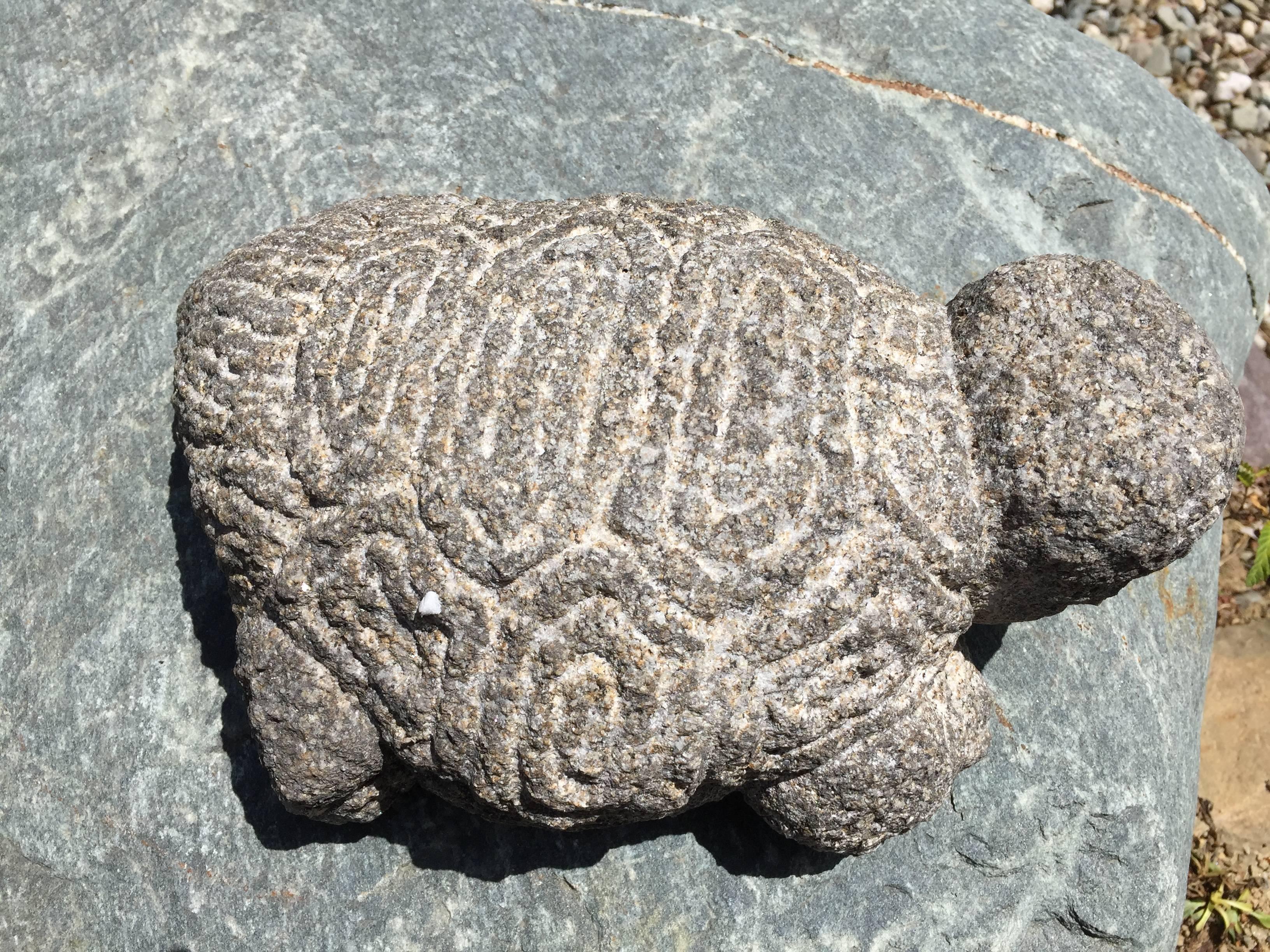 Meiji Antique Stone Turtle Kame Intricately Carved Rare to Find 19thc.  FREE SHIPPING