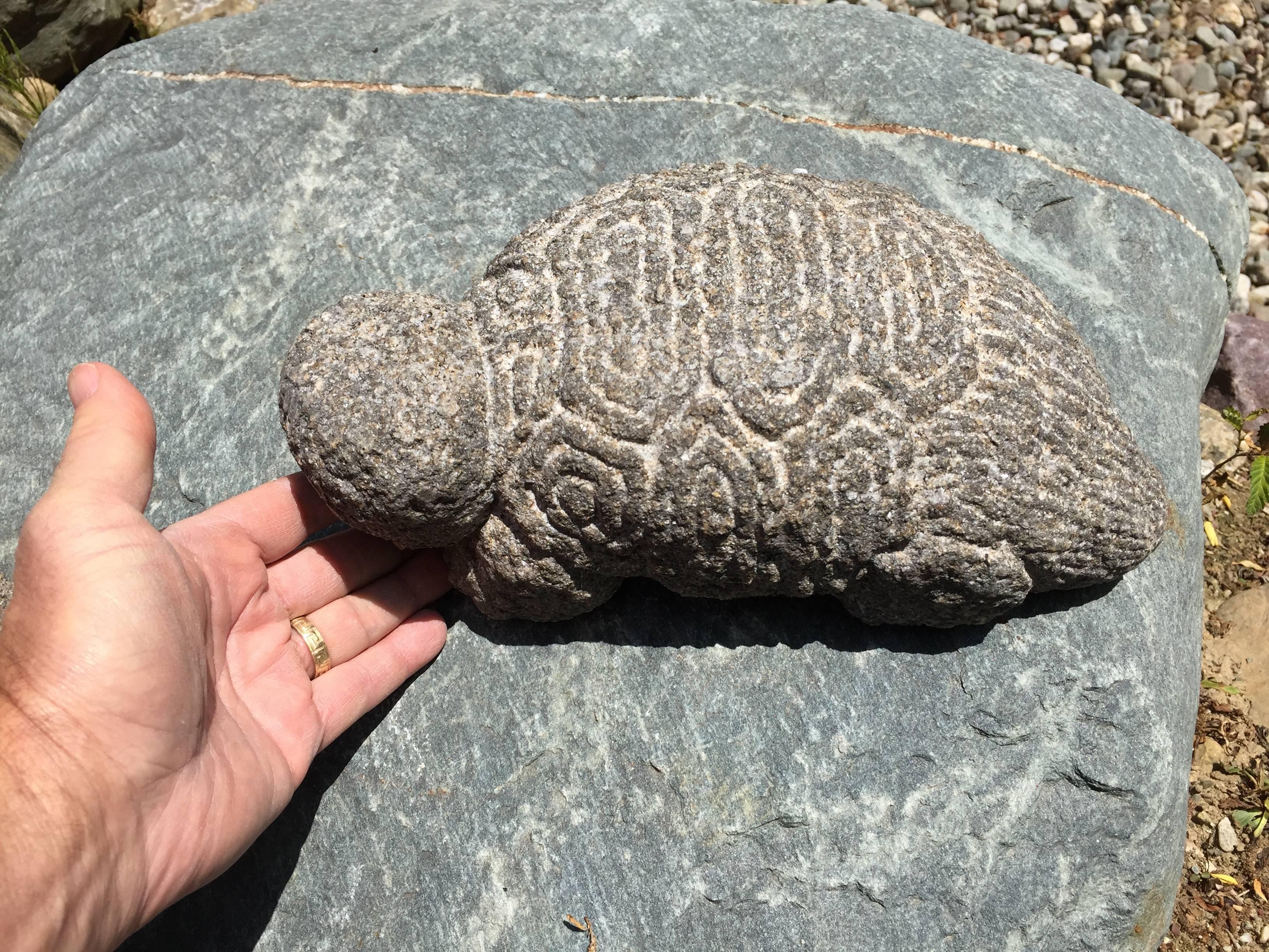 carved stone turtle