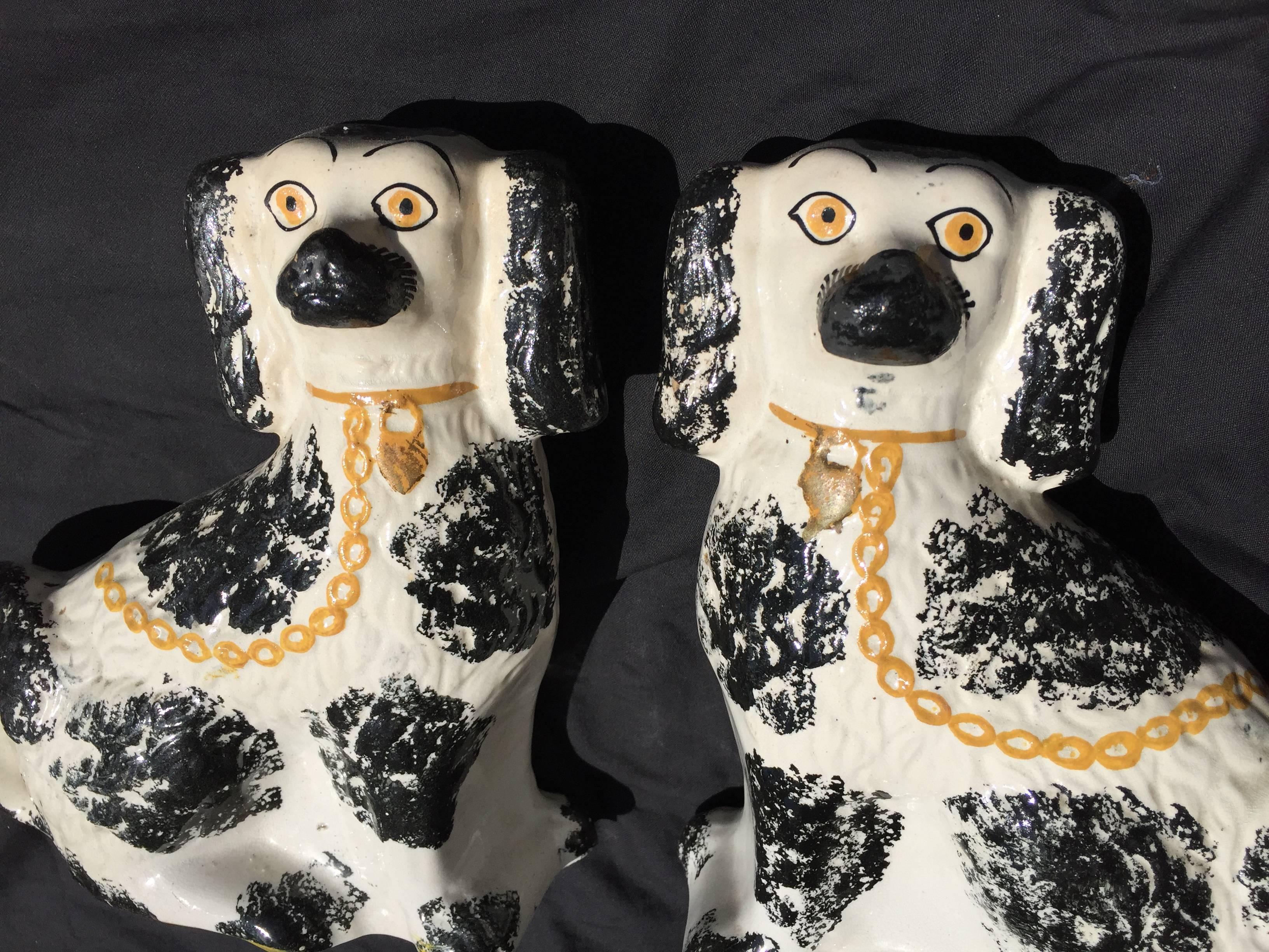 A fine larger scale pair of Staffordshire Classic ceramic black and white Spaniels in superb condition complete with gilt collars, dating to the mid-19th century. You wont find finer examples.

Dimensions: 10.5