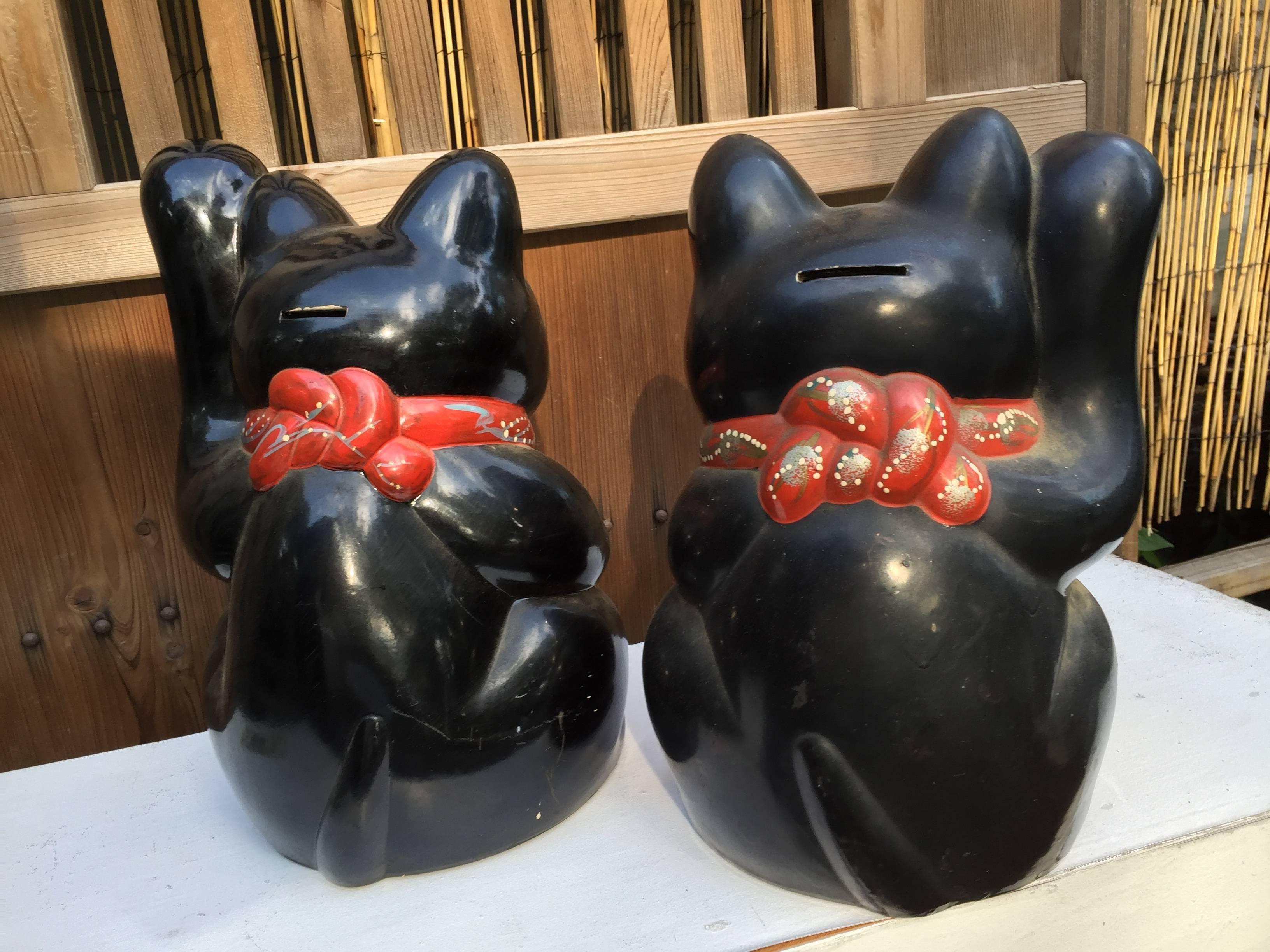 black cat money