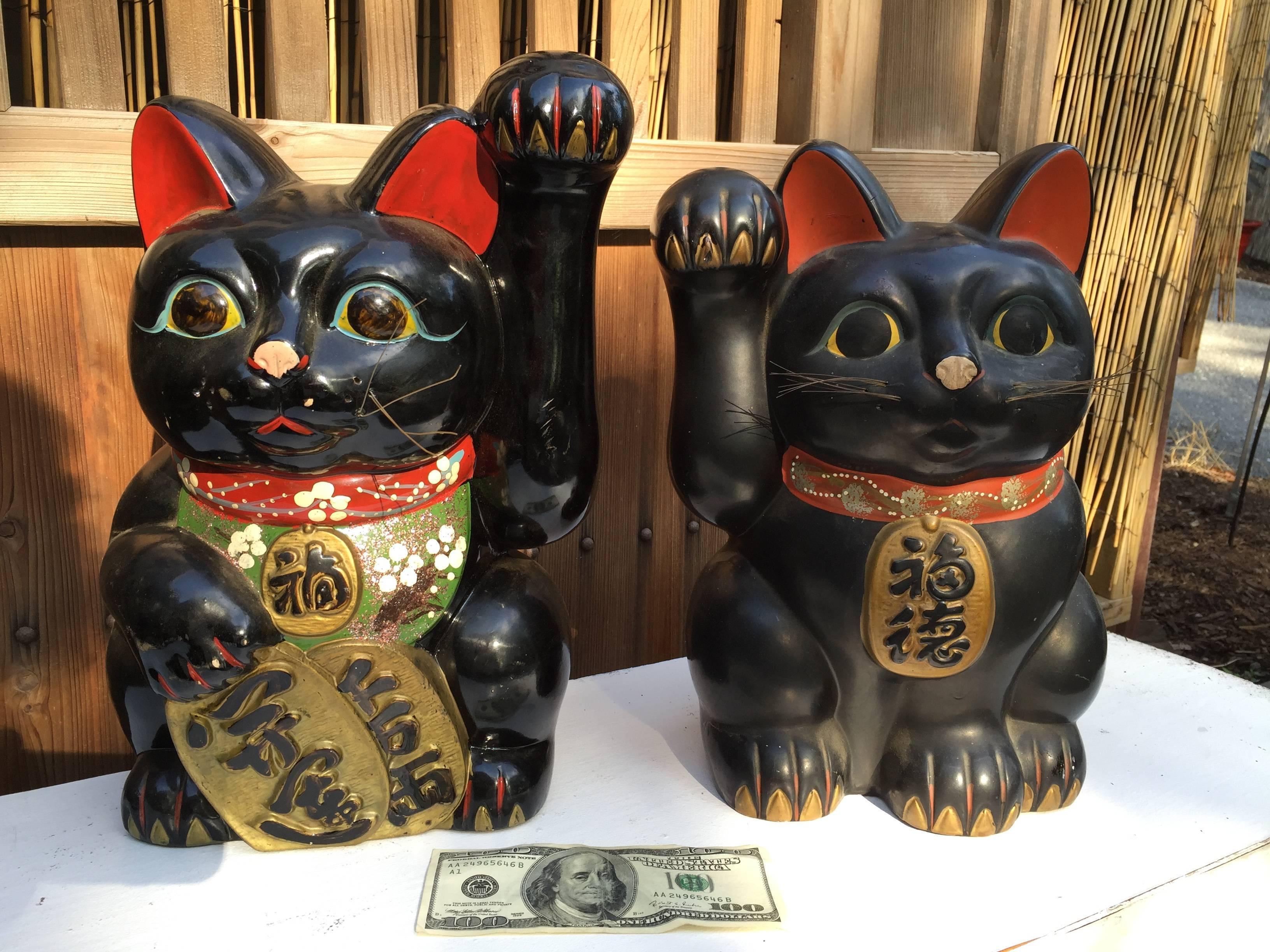 old money cats