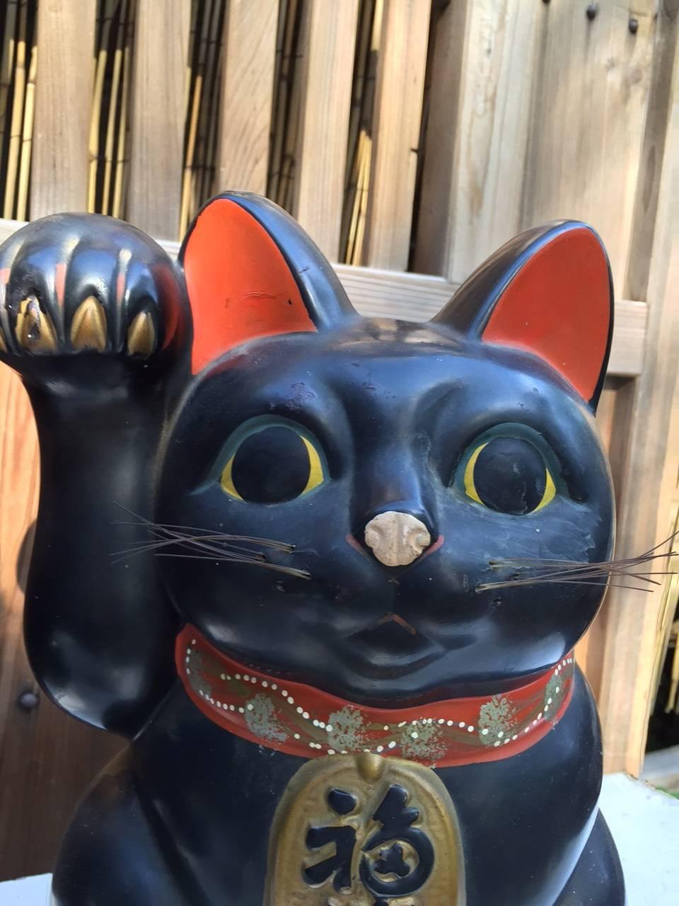 black cat with money