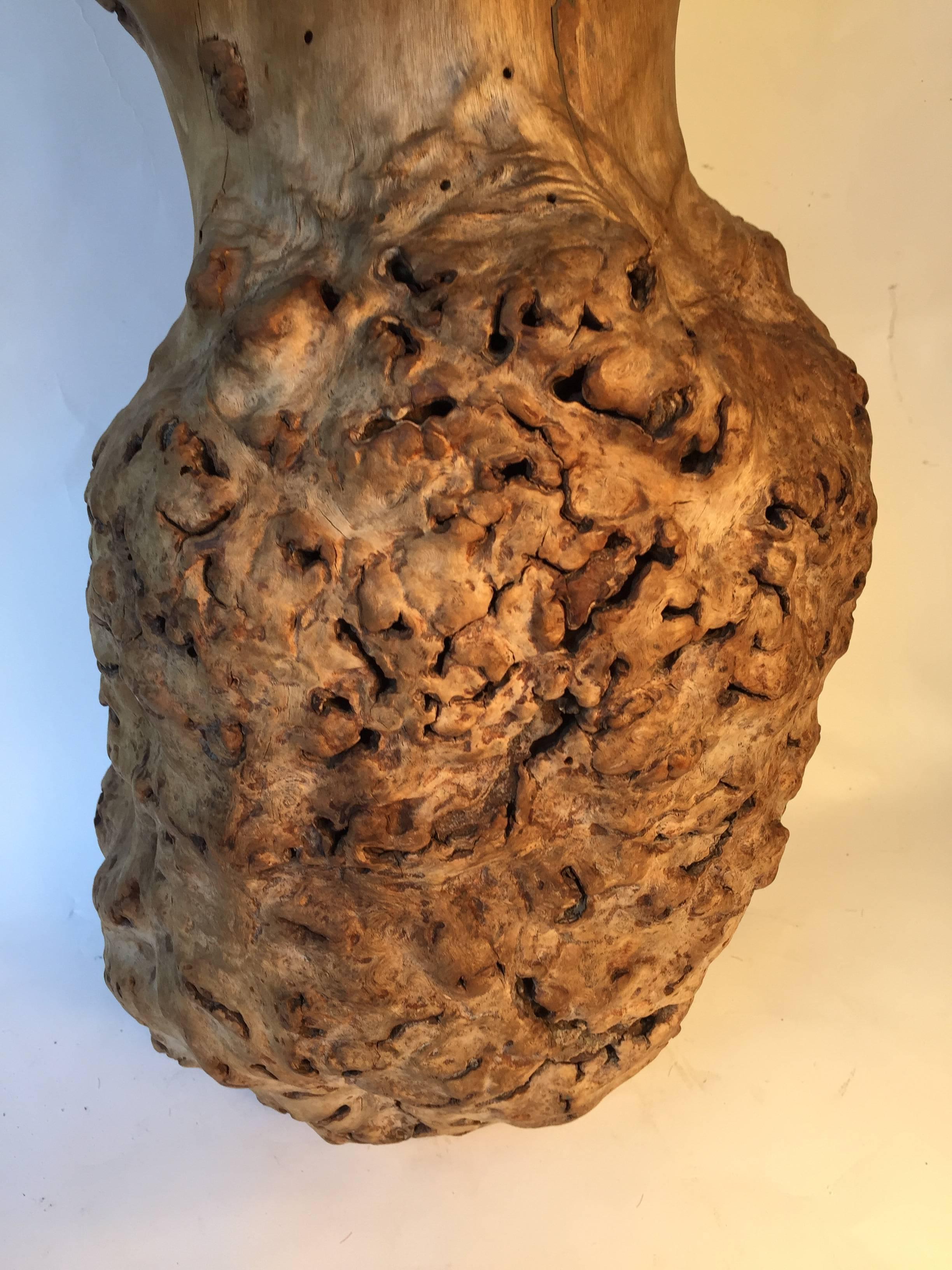 20th Century Big Beautiful Old Japanese Natural Organic Root Wood Burl  Vase Sculpture