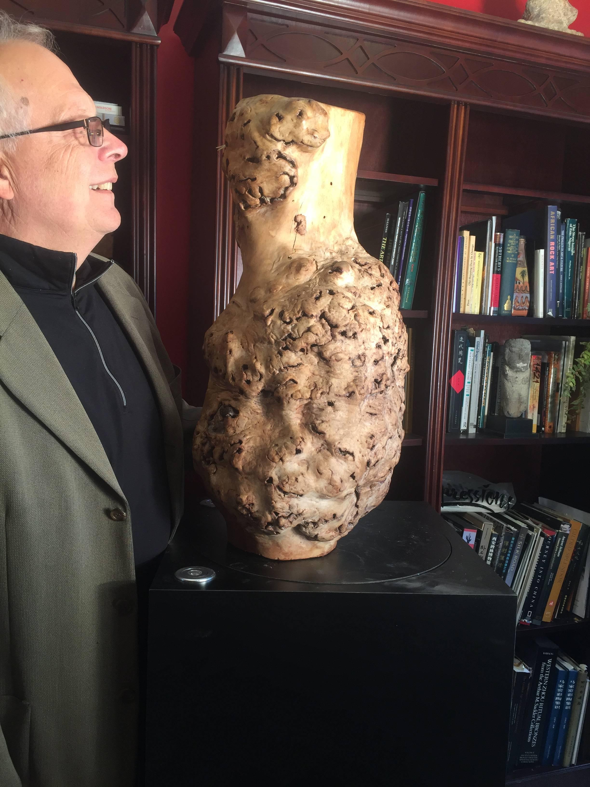 root burl vase