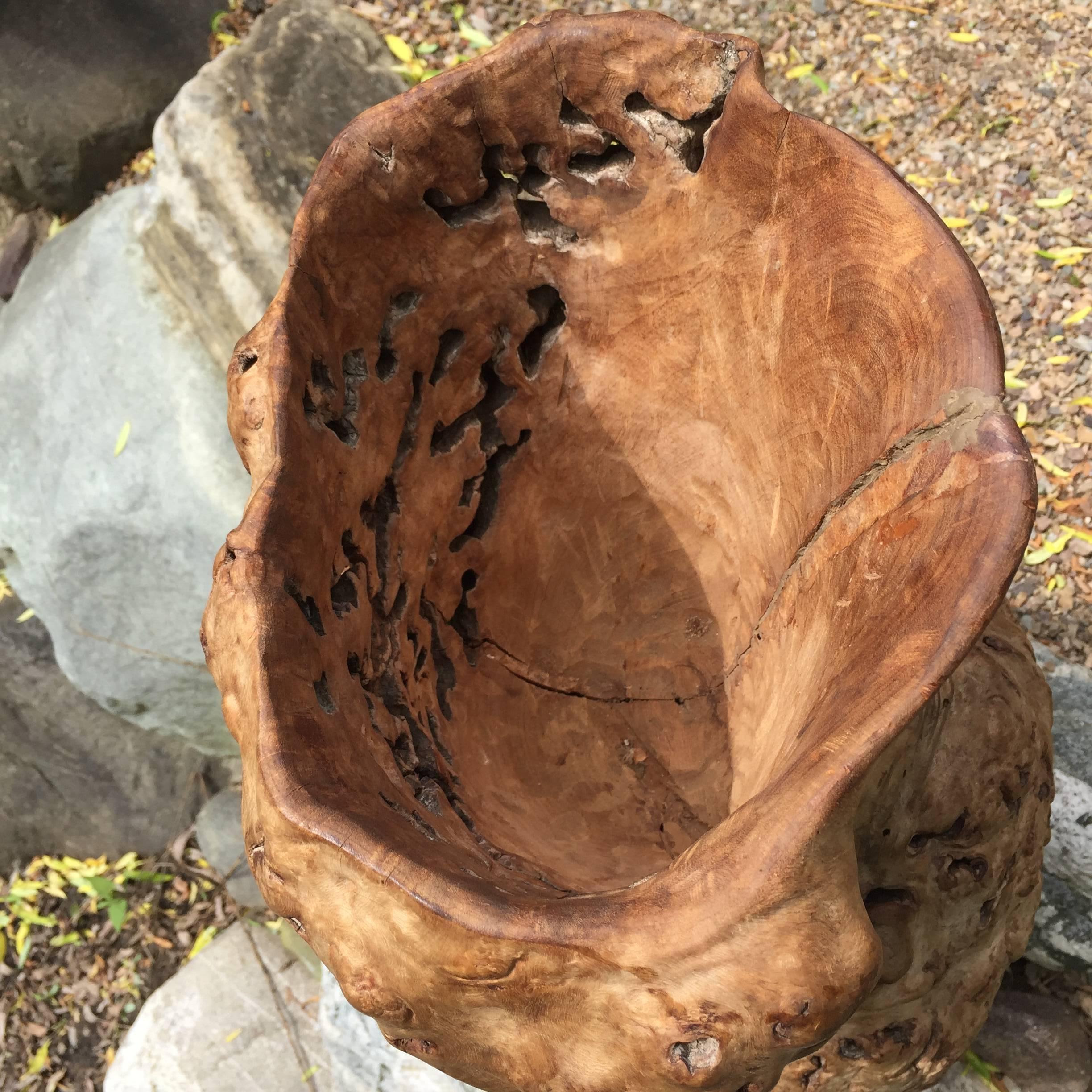 Hand-Crafted Big Beautiful Old Japanese Natural Organic Root Wood Burl  Vase Sculpture