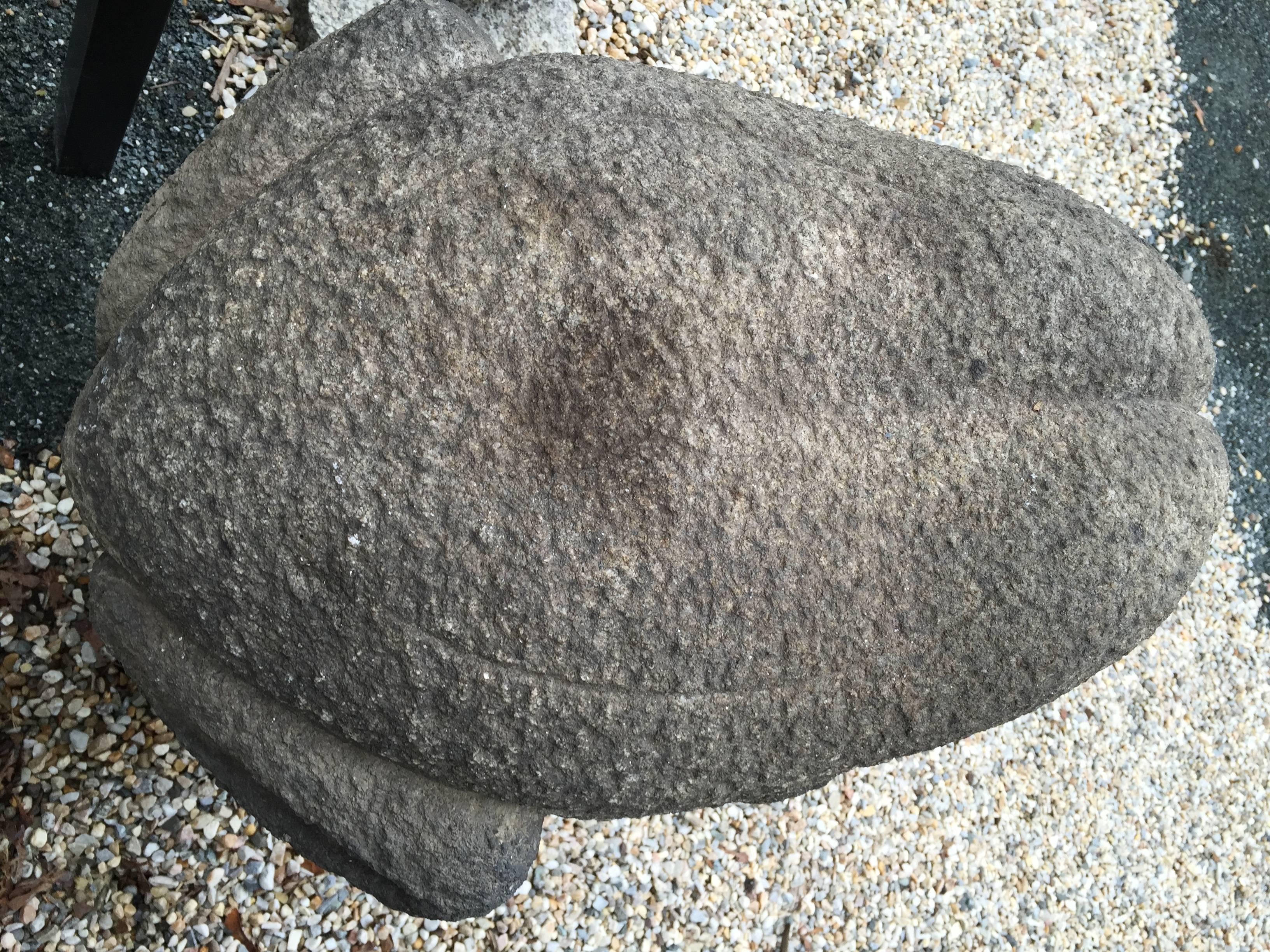 giant japanese toad