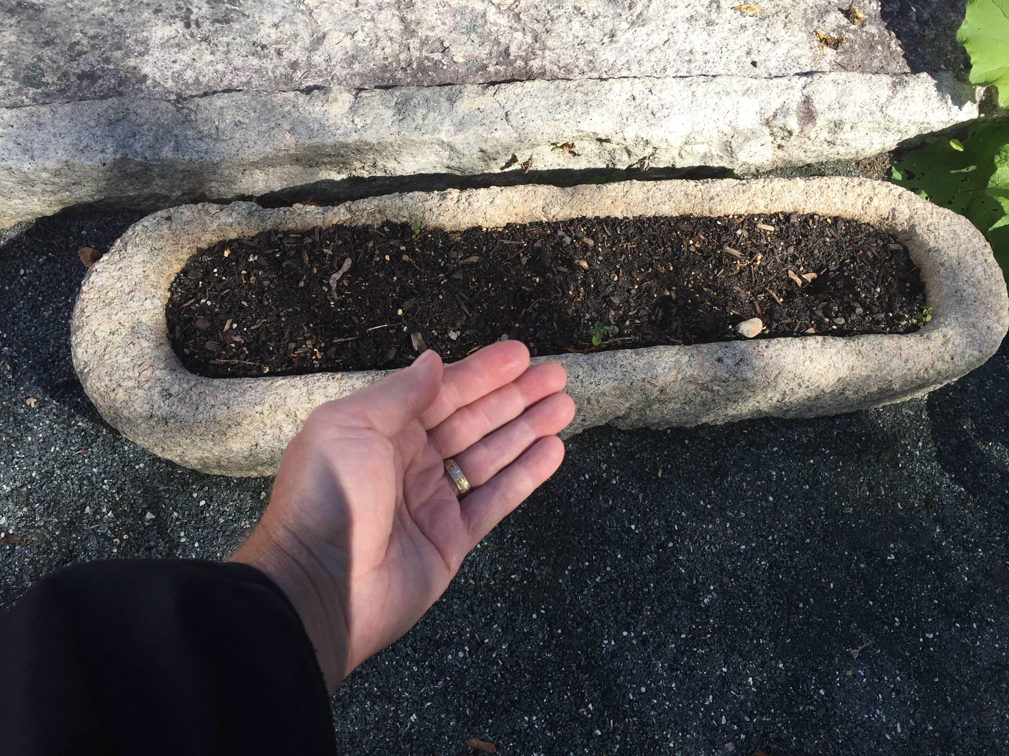 Old Asian 19th Century Hard to Find Shaped Stone Planter In Good Condition In South Burlington, VT