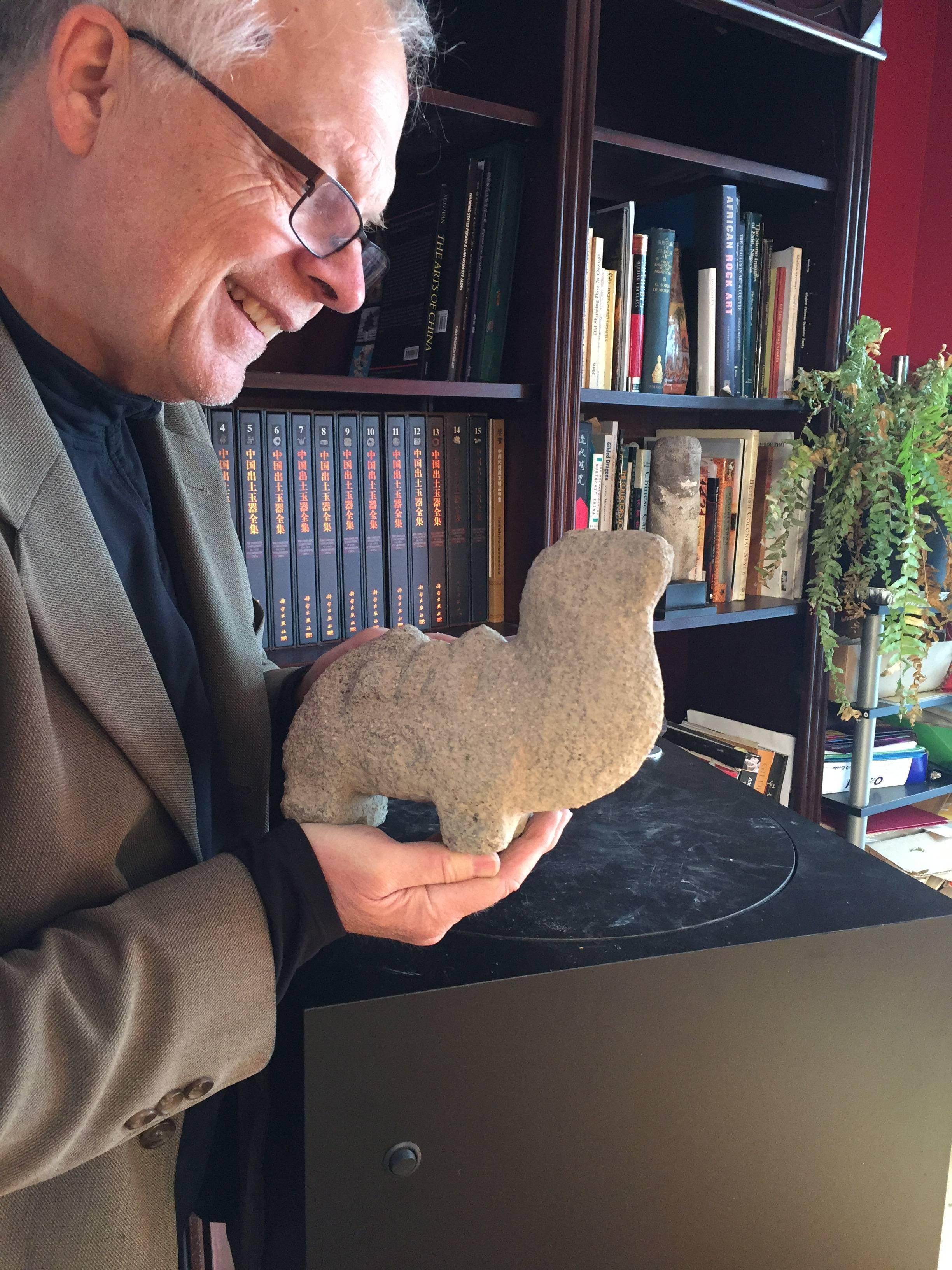 A good opportunity to acquire an  old and unusual hand-carved stone dromedary camel. This handsome Minimalist sculpture was originally acquired along with several others during one of our many field collecting and buying trips in Langzhou, North