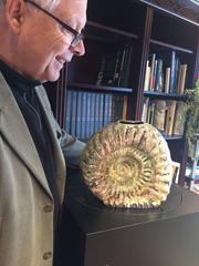 Stunning Hand made Organic Ammonite Nautilus Vase  1950