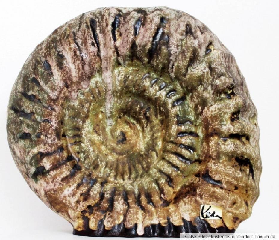 ammonite vase