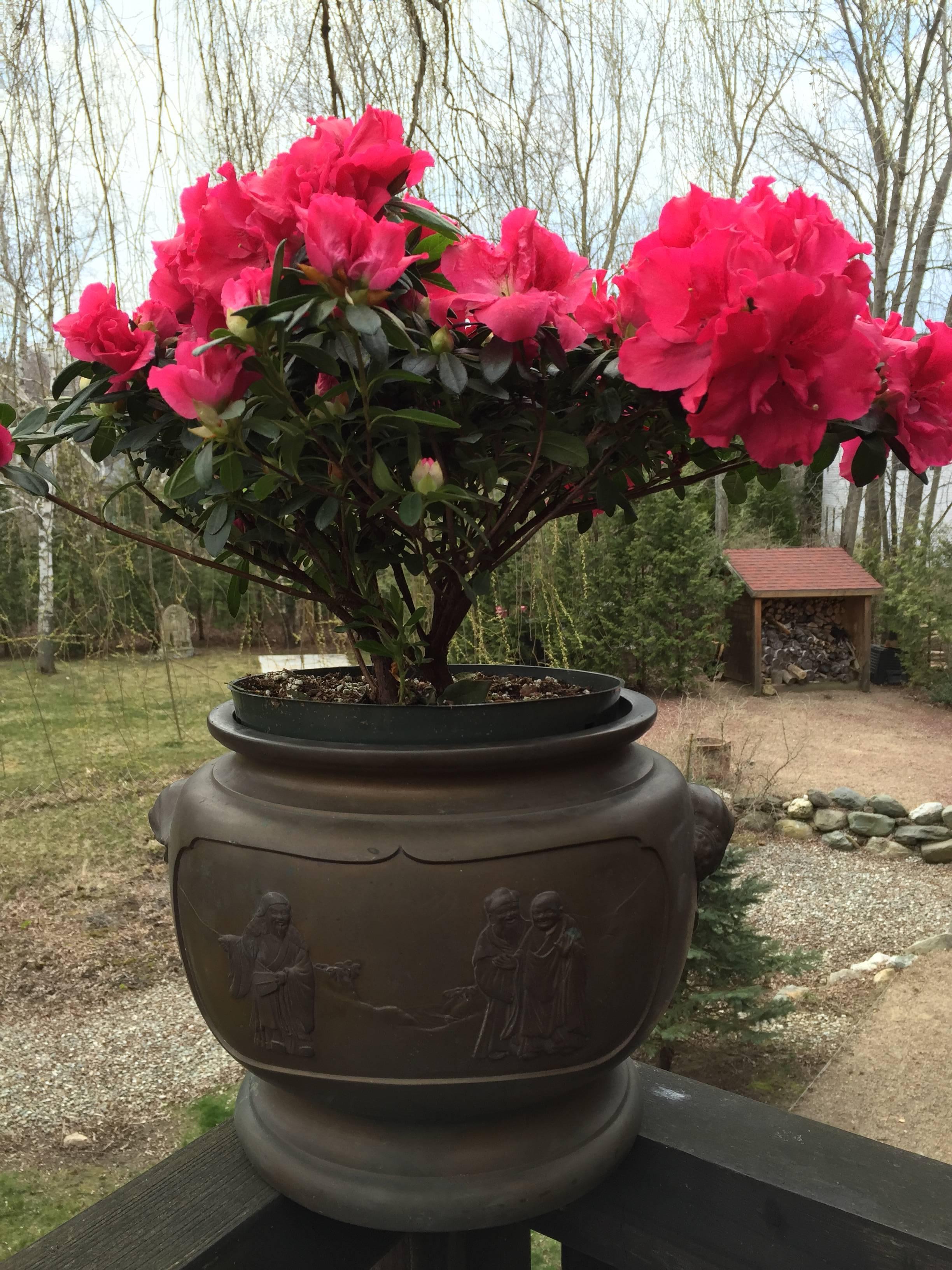 Japanese Japan Lovely Antique Pair  Hand Caste Handmade Heavy Bronze Cloud  Wave Planters