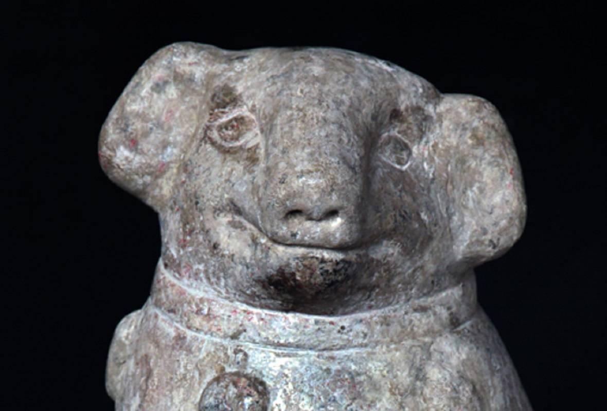 Antike chinesische Skulptur aus der Antike  Pug Hund, Ming-Dynastie 1368-1644 im Angebot 9