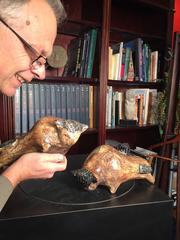 Big Pair Bull Steer Sculptures Handmade , Hand Glazed, Mint Condition