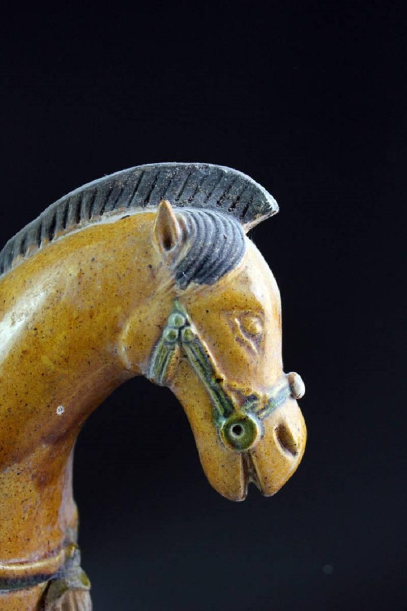Important Ancient China Amber Glazed Horse and Rider Ming Dynasty, 1368-1644 In Good Condition In South Burlington, VT