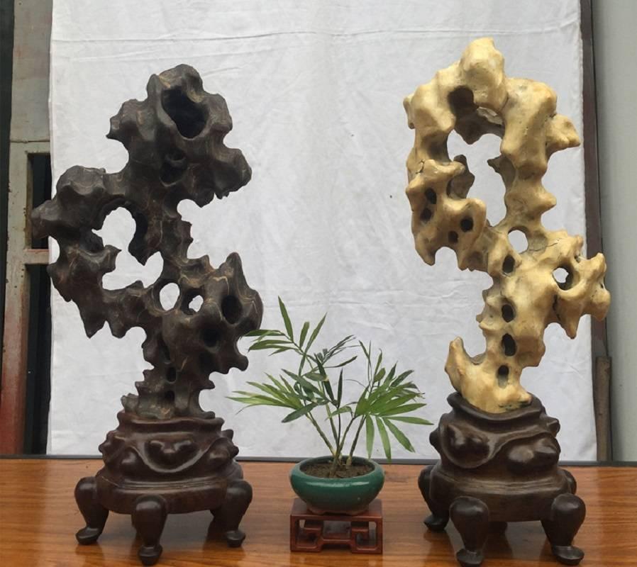 This is a stunning pair (two) of tall Chinese Taihu infinity viewing stones or scholar rocks. One is white and one is black and each come mounted in a custom hand-carved hard wood base.

Dimensions: 18 inches high with stand and 8 inches wide

Taihu