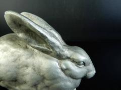 Charming Big White Ears Rabbit from Japan, Good Garden Choice