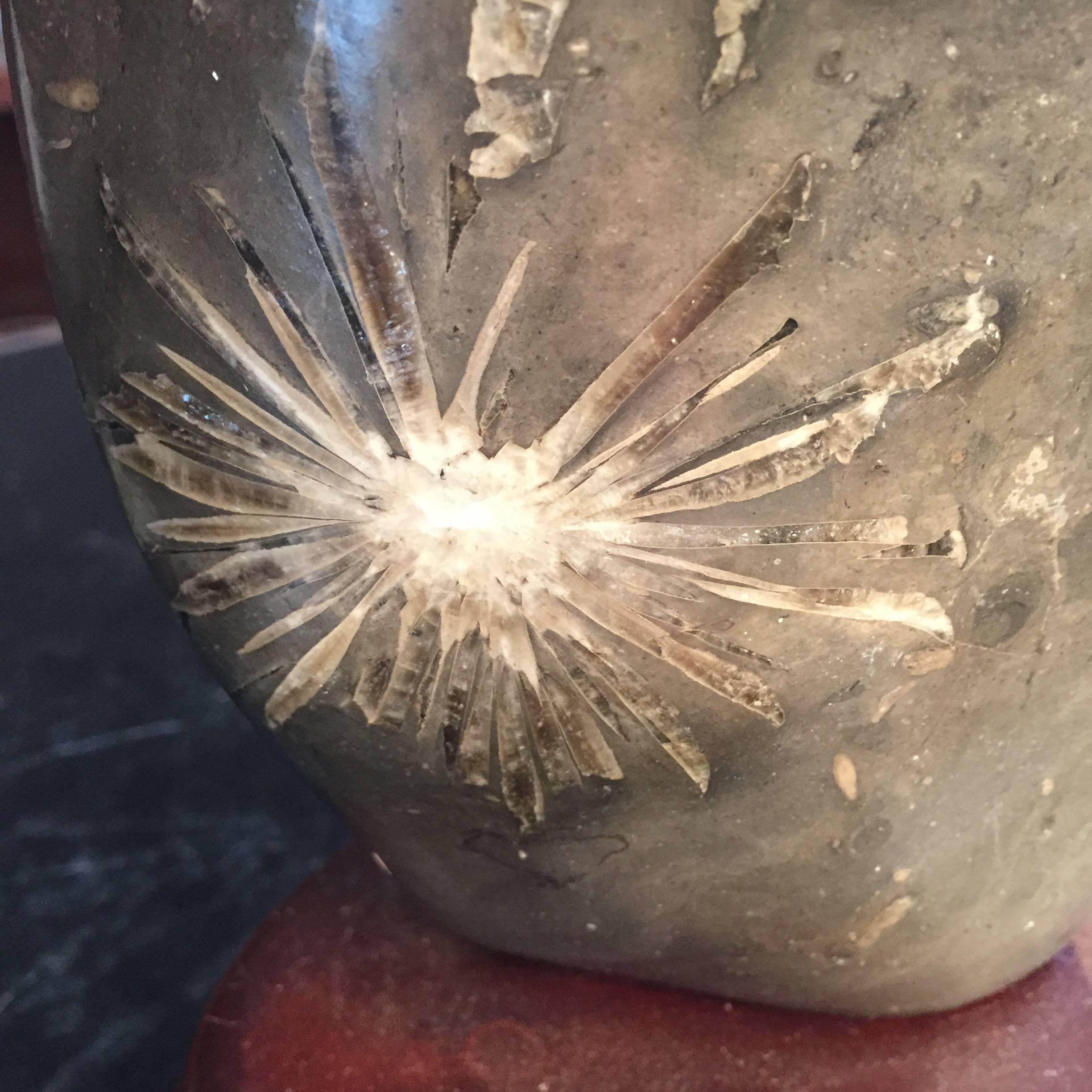 Hand-Carved Nature's Finest Natural Chrysanthemum Scholar Rock Custom Base