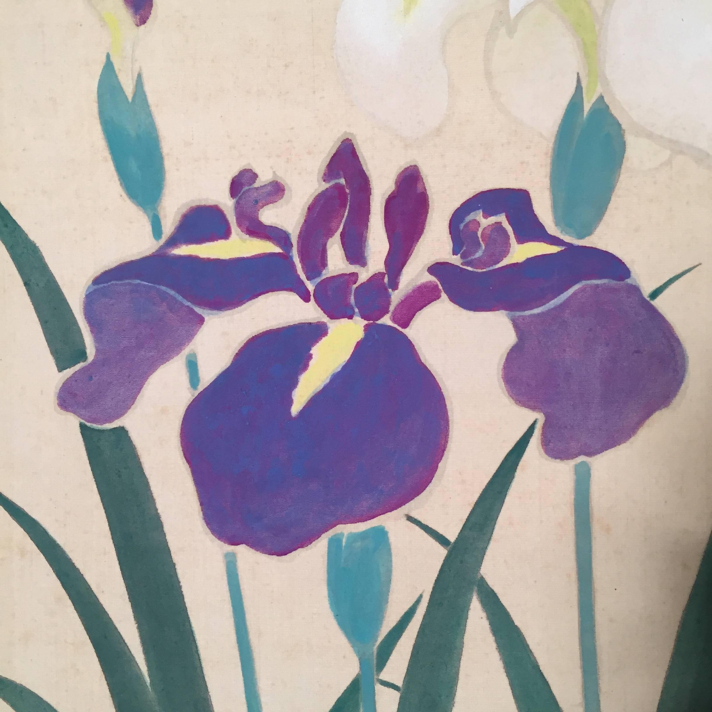 Japanese Blooming IRIS Japan Antique Hand-Painted Silk Scroll 100 Years Old