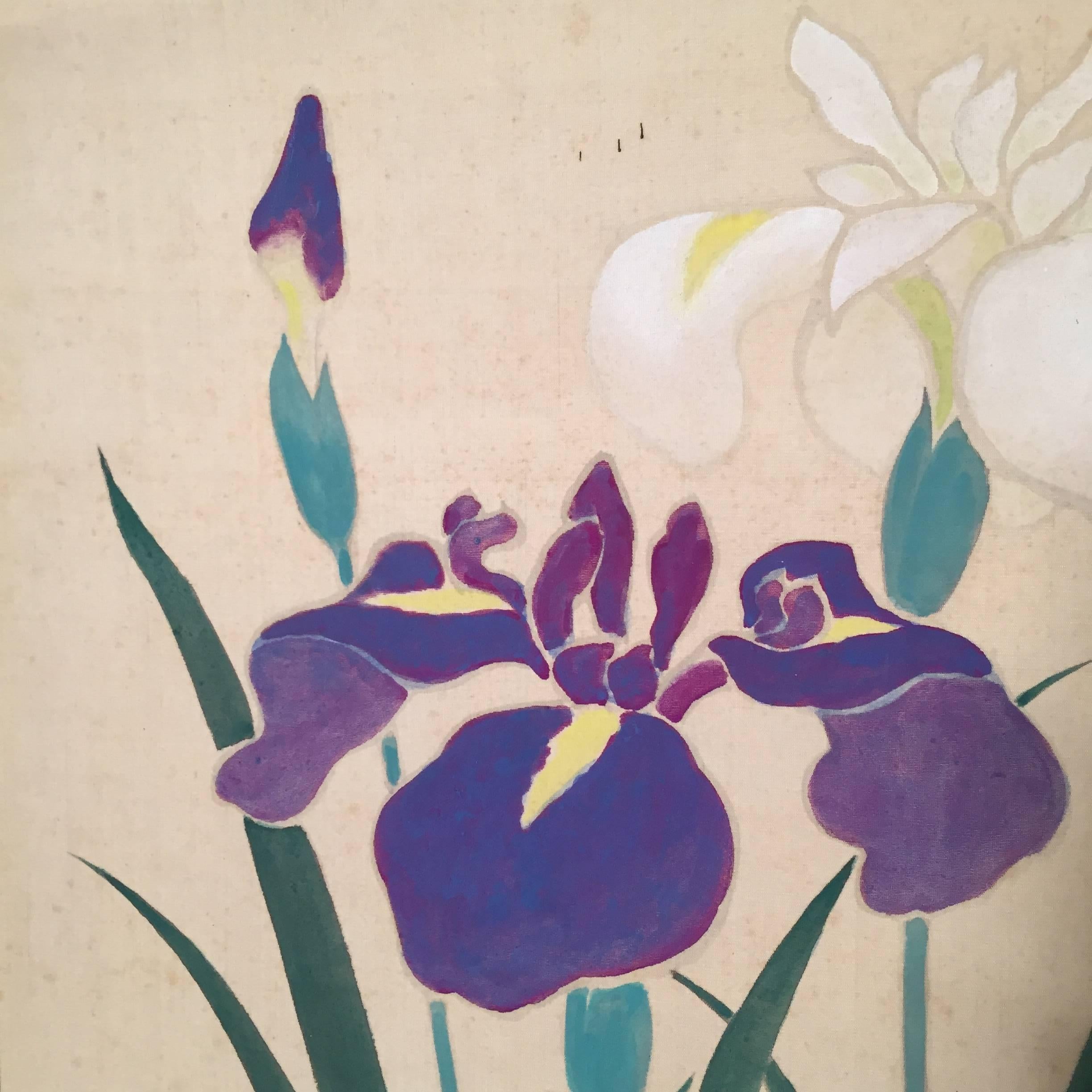 20th Century Blooming IRIS Japan Antique Hand-Painted Silk Scroll 100 Years Old