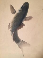 Jumping KOI Fish Japanese Antique Hand painted silk scroll, 1940
