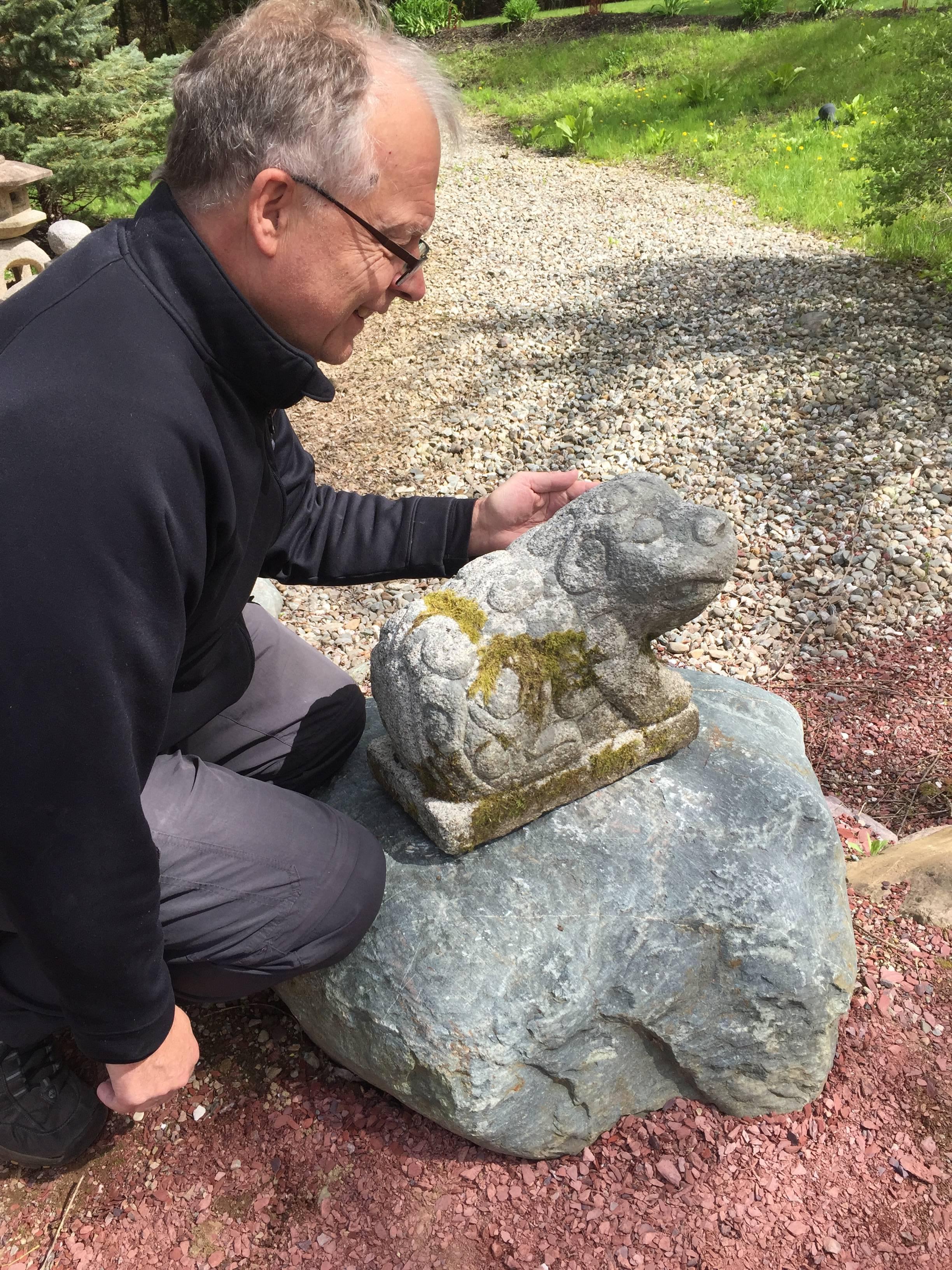 Here's one of the only hand-carved antique granite stone tigers we have had the pleasure of owning- a superb garden treasure from Korea, dates to the late 19th century or early 20th century. 

This is a finely crafted hand-carved effigy of a