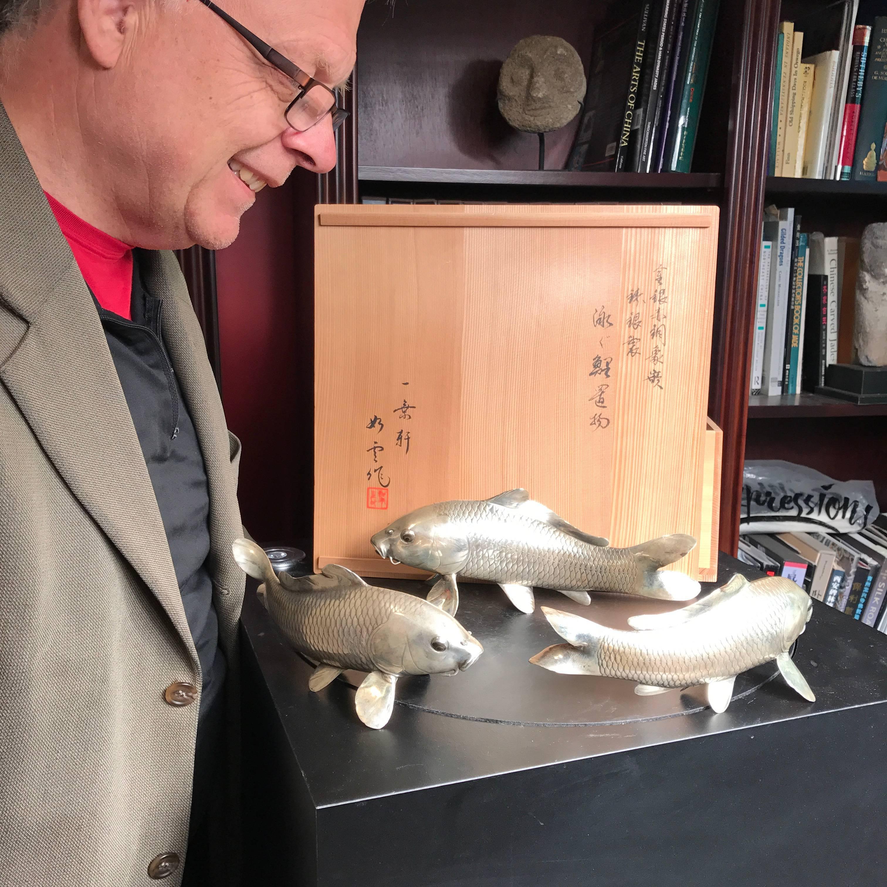 Mint, Signed, Boxed

A rare collection of three (3) superb heavy hand cast and signed silver bronze fish or KOI contained in their original signed kiriwood tomobako collector box. This is the finest quality the Japanese master craftsmen offer and