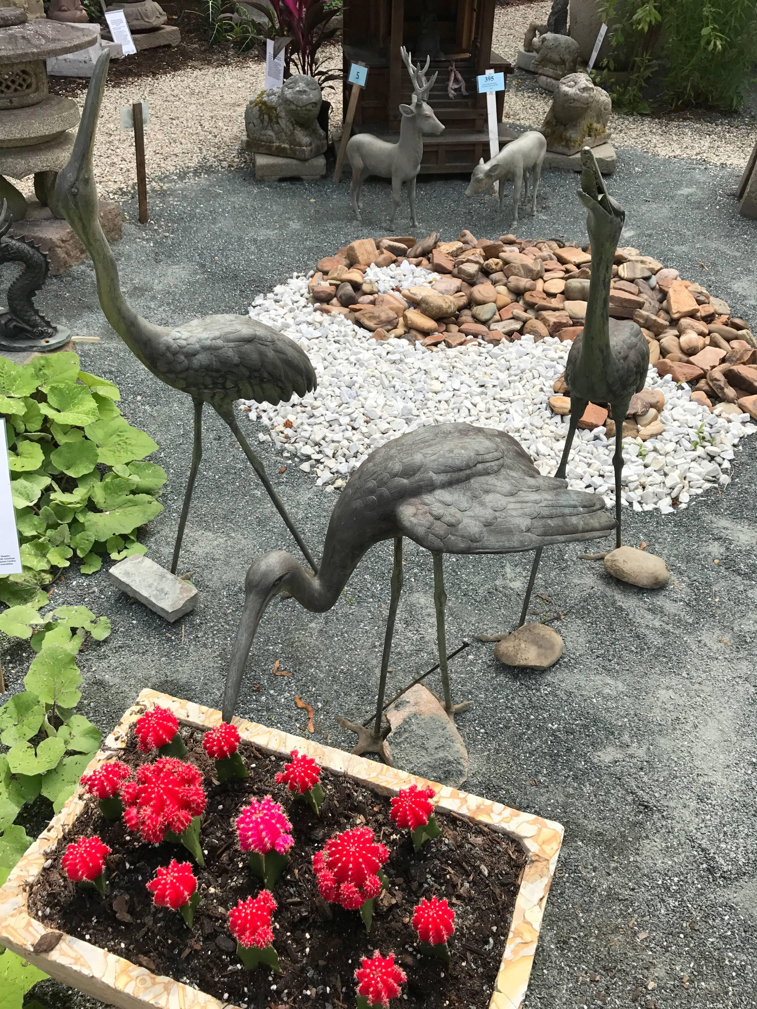 Japan, a fine set of three tall and largest scale hand caste bronze finely detailed cranes. Fine old variegated green patina surfaces. 

Dimensions:
Tallest crane 42 inches tall and 15 inches wide
Medium crane 40 inches tall and 15 inches wide
Small