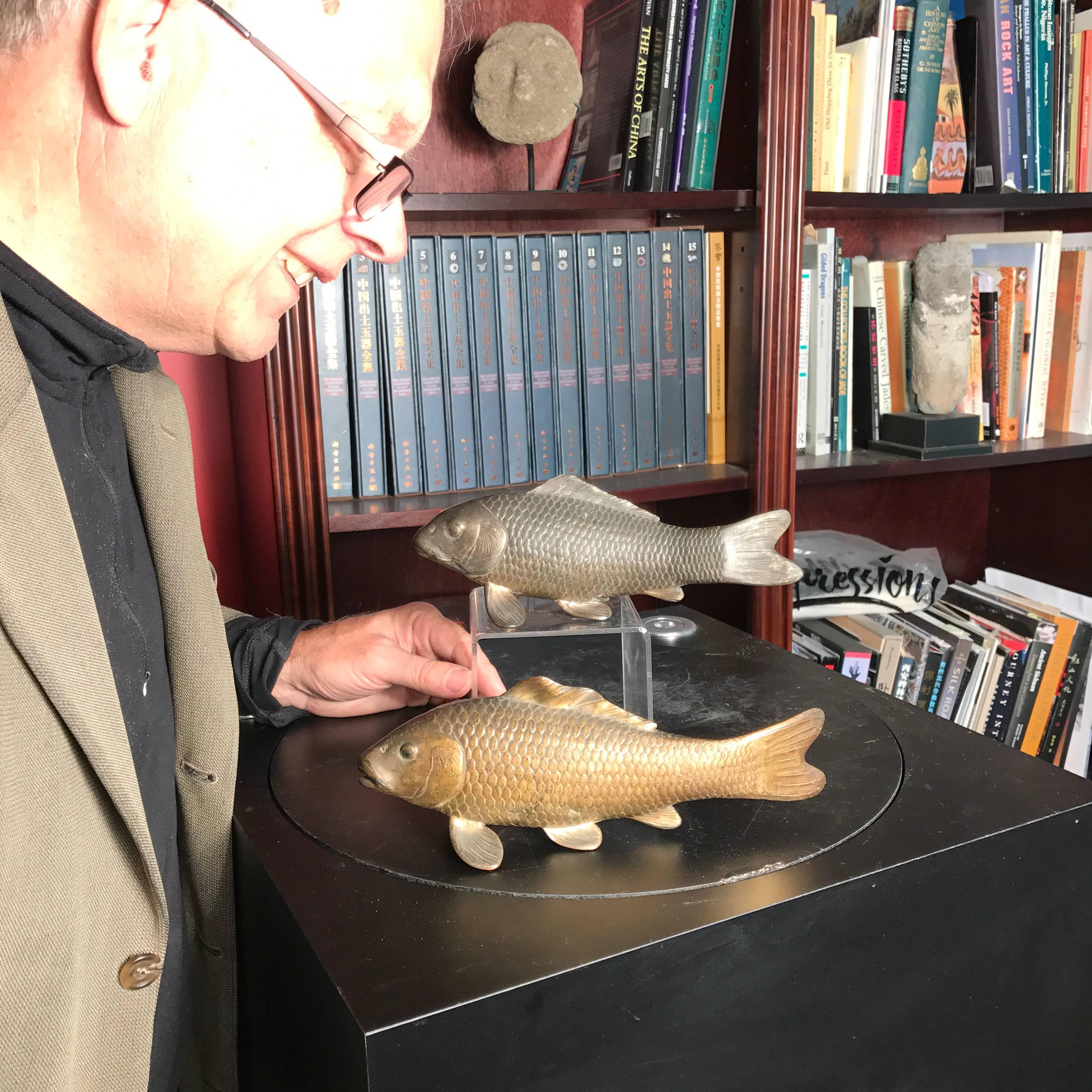 Here's a rare find from a collector we visited in Kyoto. A very unusual treasure from Japan. 

This is an old crafted pair of cast bronze koi one large and one smaller with a substantial medium to dark patina from handling, appropriate to there