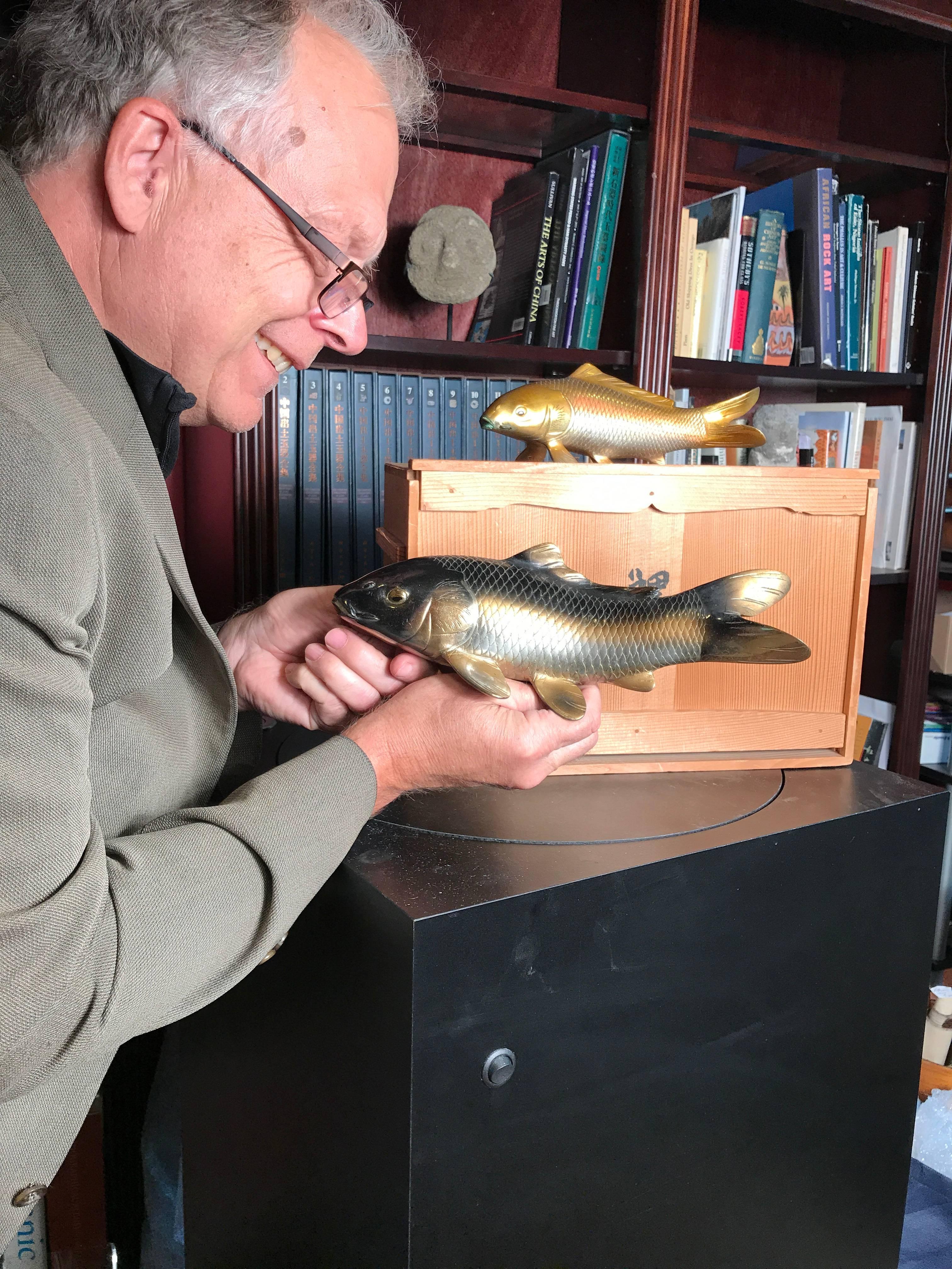 Signed, mint and boxed

Here's a rare find from a collector we visited in Kyoto. A very unusual treasure from Japan. 

This is a finely crafted pair of bronze koi one in a realistic gray ochre color and one in brown color and both accompanied by