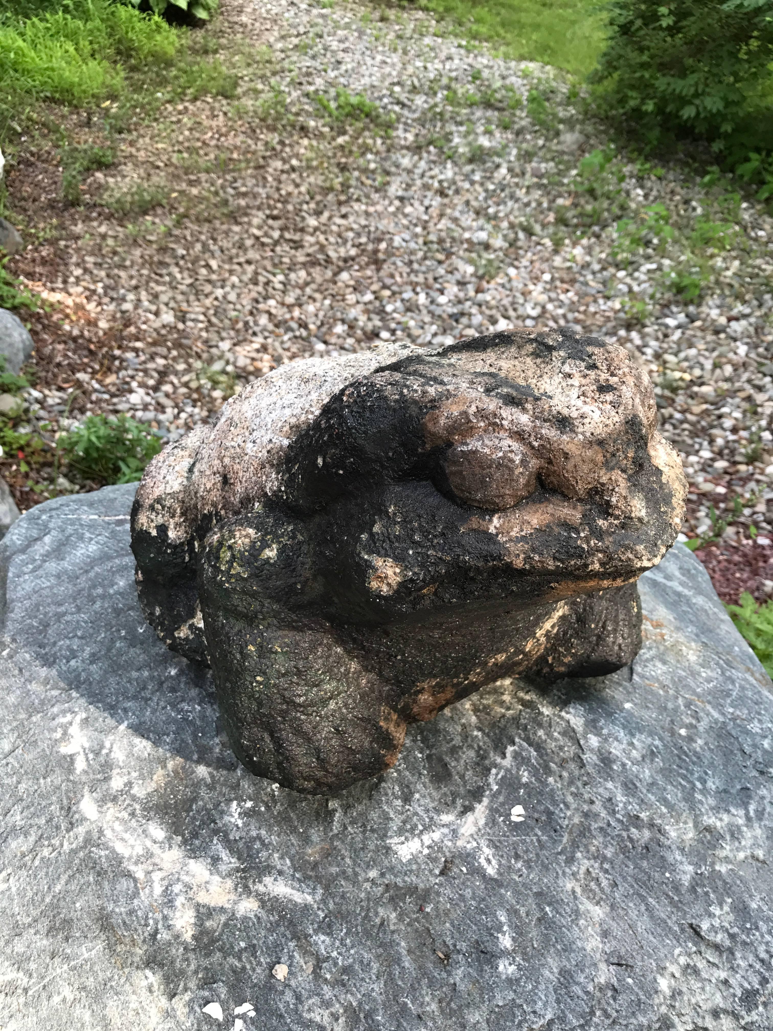 Giant Burly Japanese Antique Stone Frog Found In Vermont Tree, 17