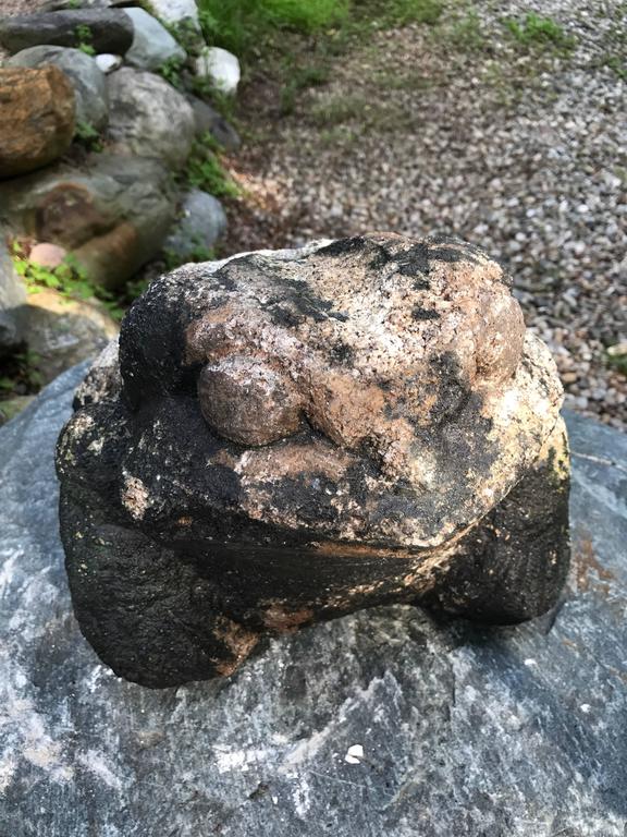 Giant Burly Japanese Antique Stone Frog Found In Vermont Tree, 17" Long