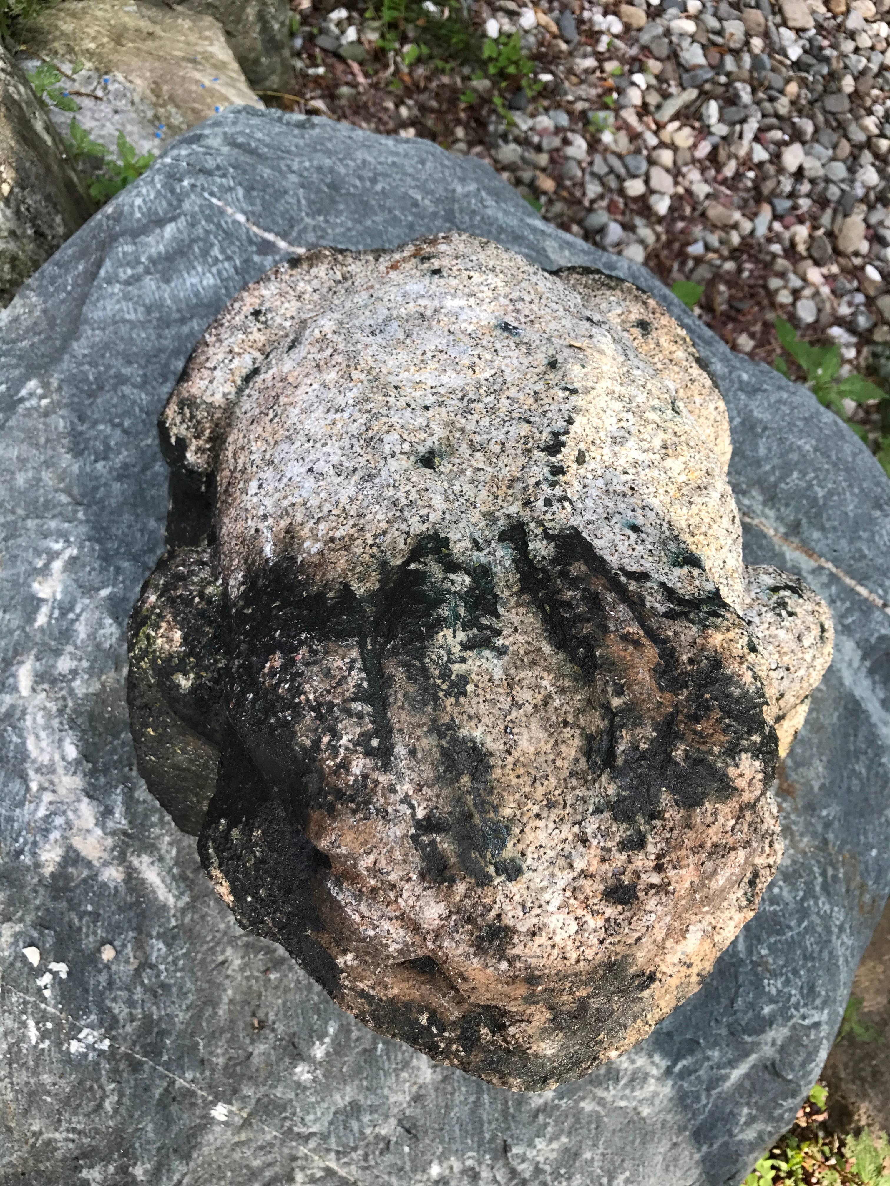 Giant Burly Japanese Antique Stone Frog Found In Vermont Tree, 17