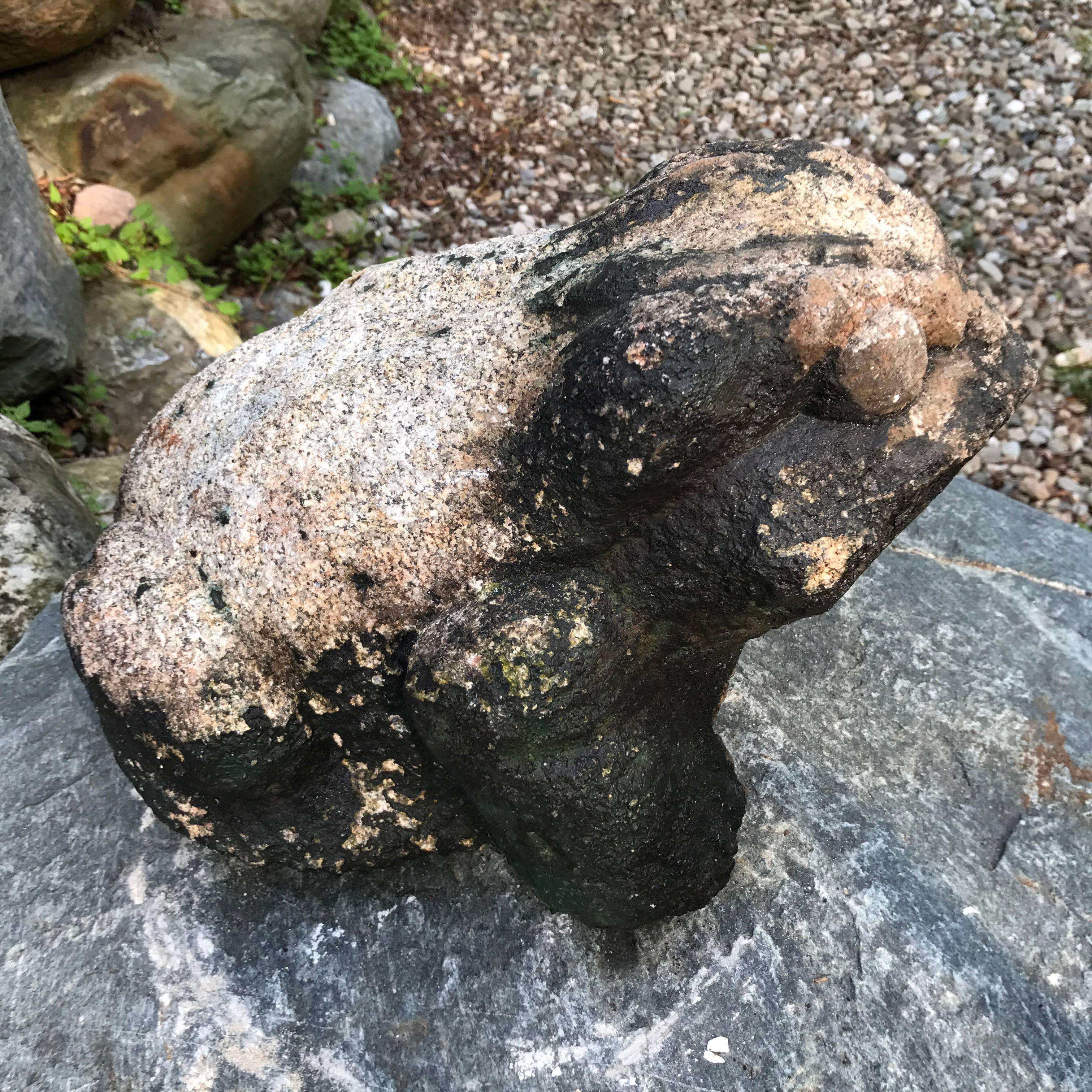 Granite Giant Burly Japanese Antique Stone Frog Found In Vermont Tree, 17