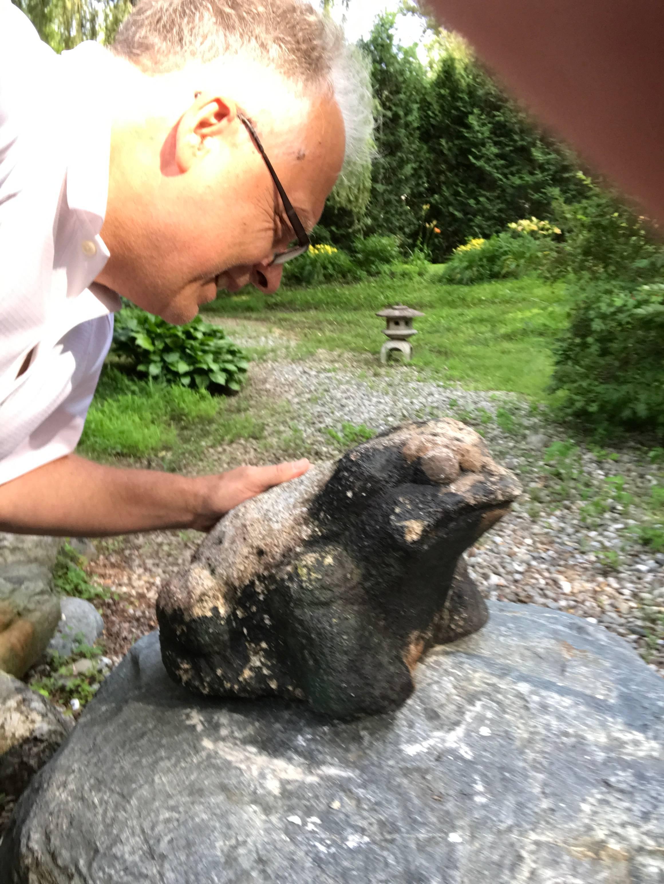 A delightful opportunity to acquire a rare giant Japanese hand-carved stone frog sculpture fresh from an old Shiga Japan garden and dating to the early 20th century. Look at the fine carving detail and handsome dark patina from significant age and