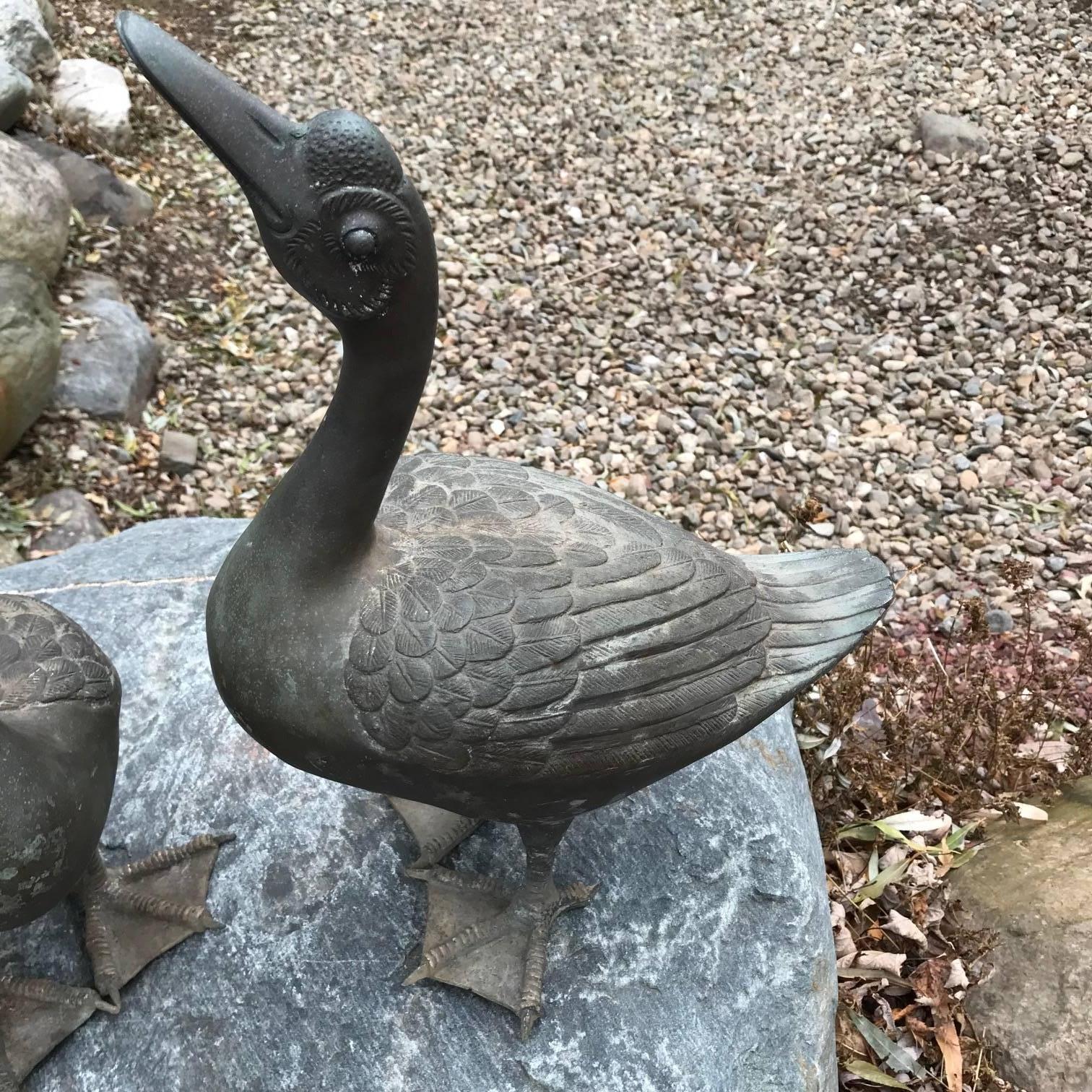 Japan Antique Large Hand Cast Pair Bronze Garden Ducks- Beautiful Details, 18