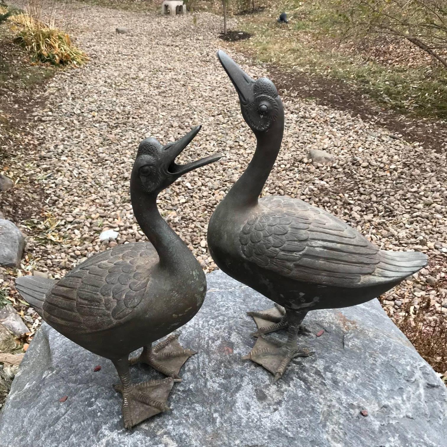 Japan Antique Large Hand Cast Pair Bronze Garden Ducks- Beautiful Details, 18