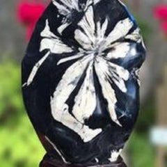 Exquisite Large Chrysanthemum Flower Viewing Stone