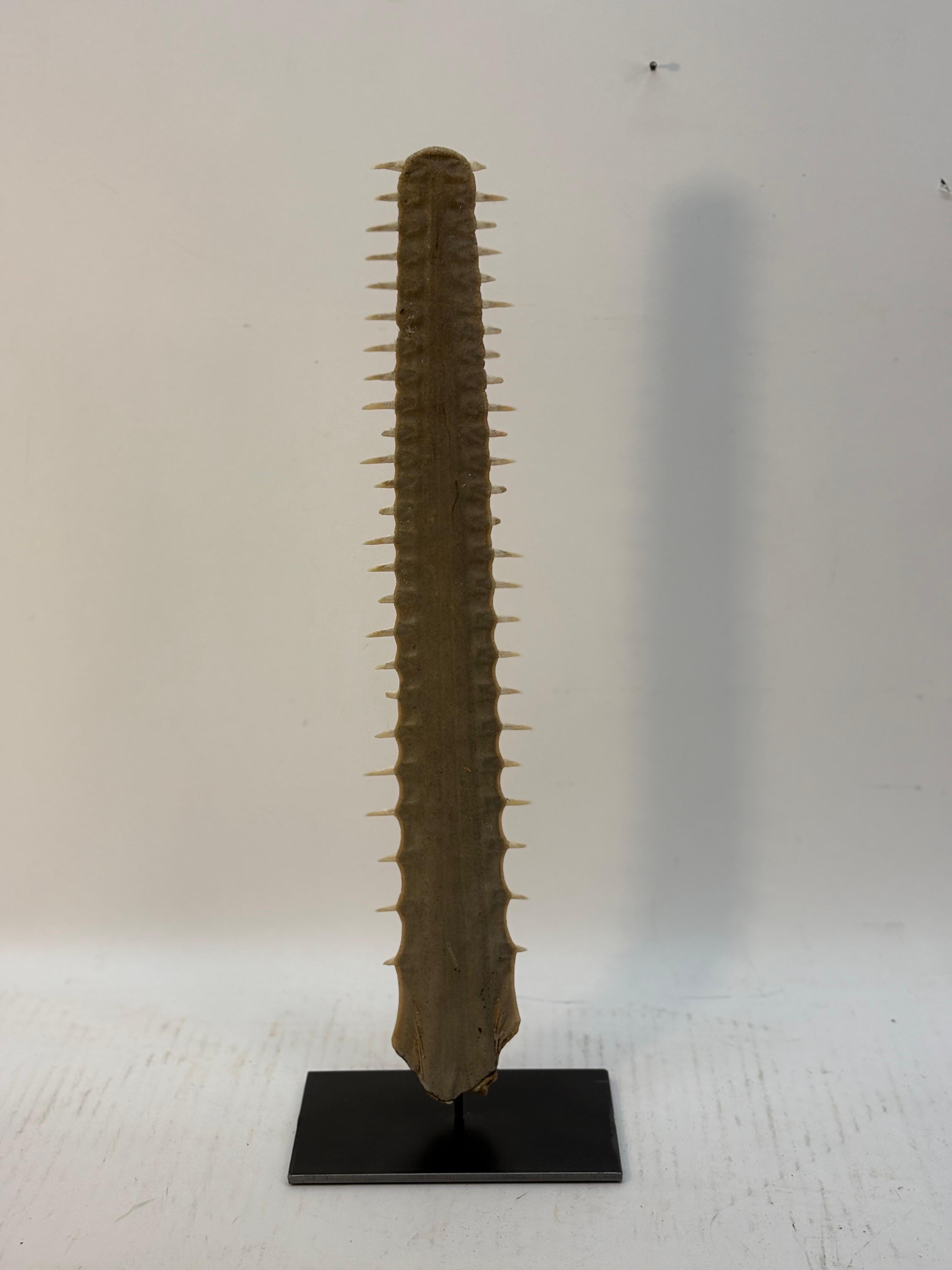 Cassapanca Tambour in Wood di Baker in vendita 24
