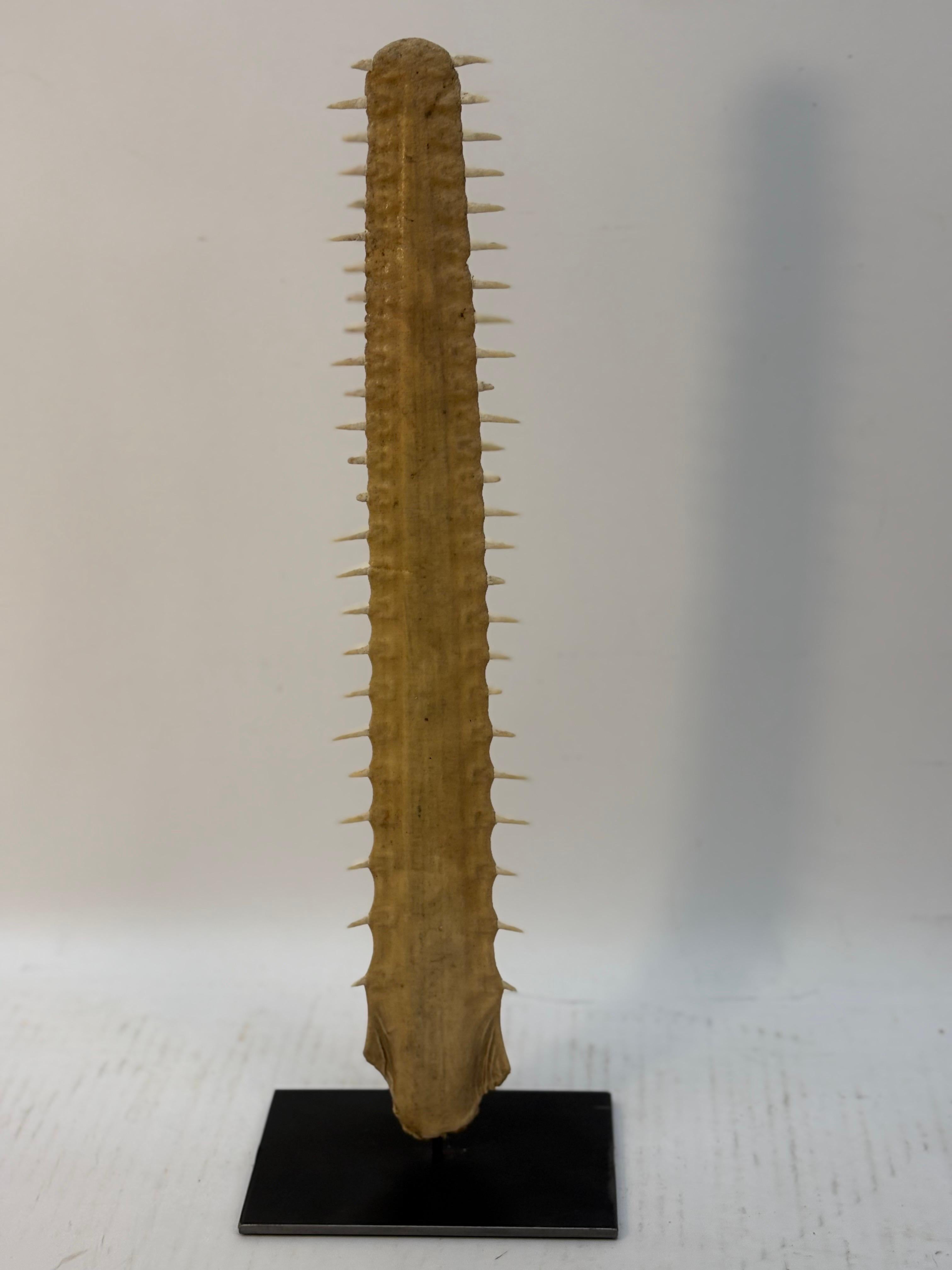Cassapanca Tambour in Wood di Baker in vendita 28