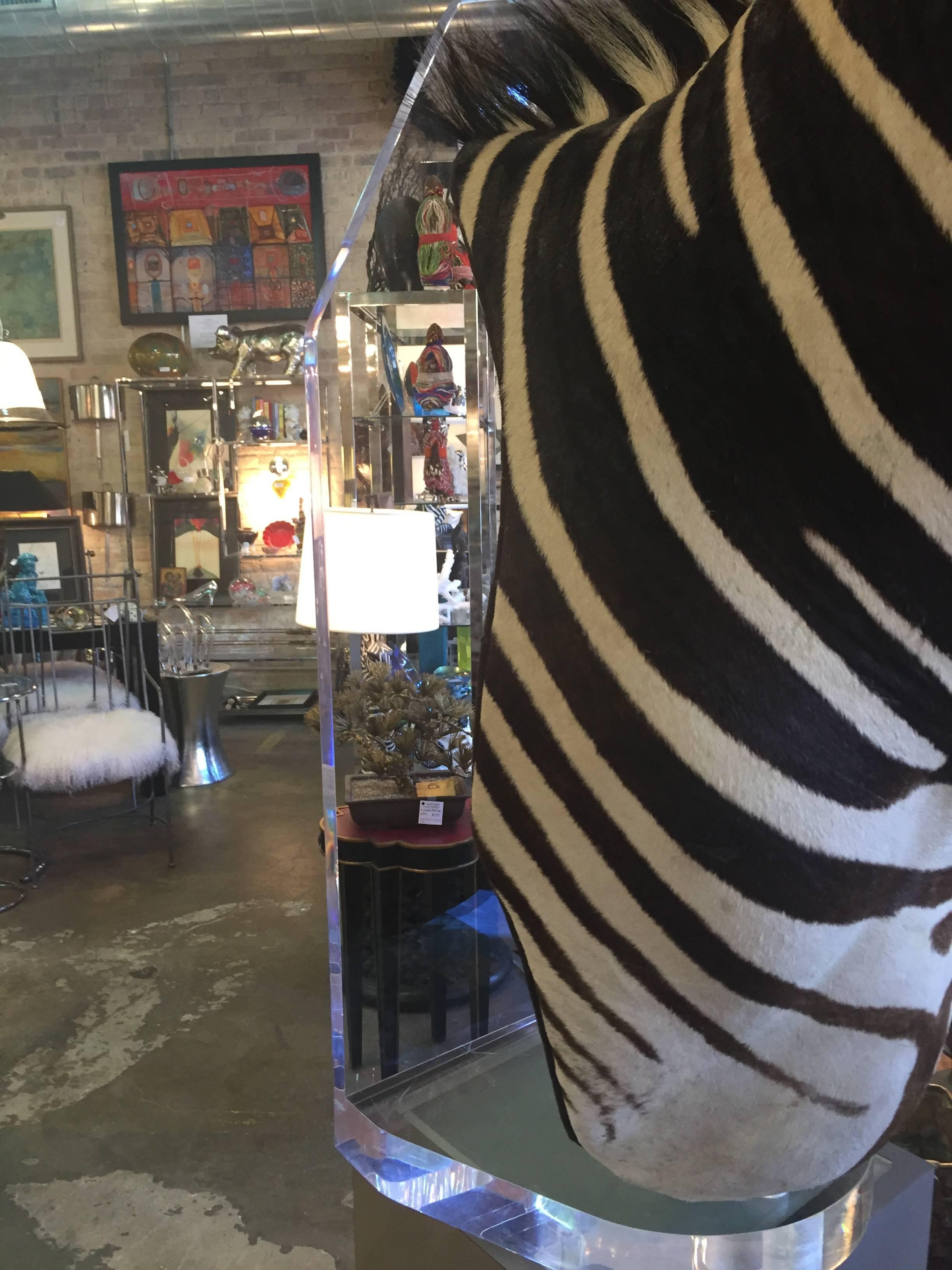 Lucite Zebra Mount Taxidermy