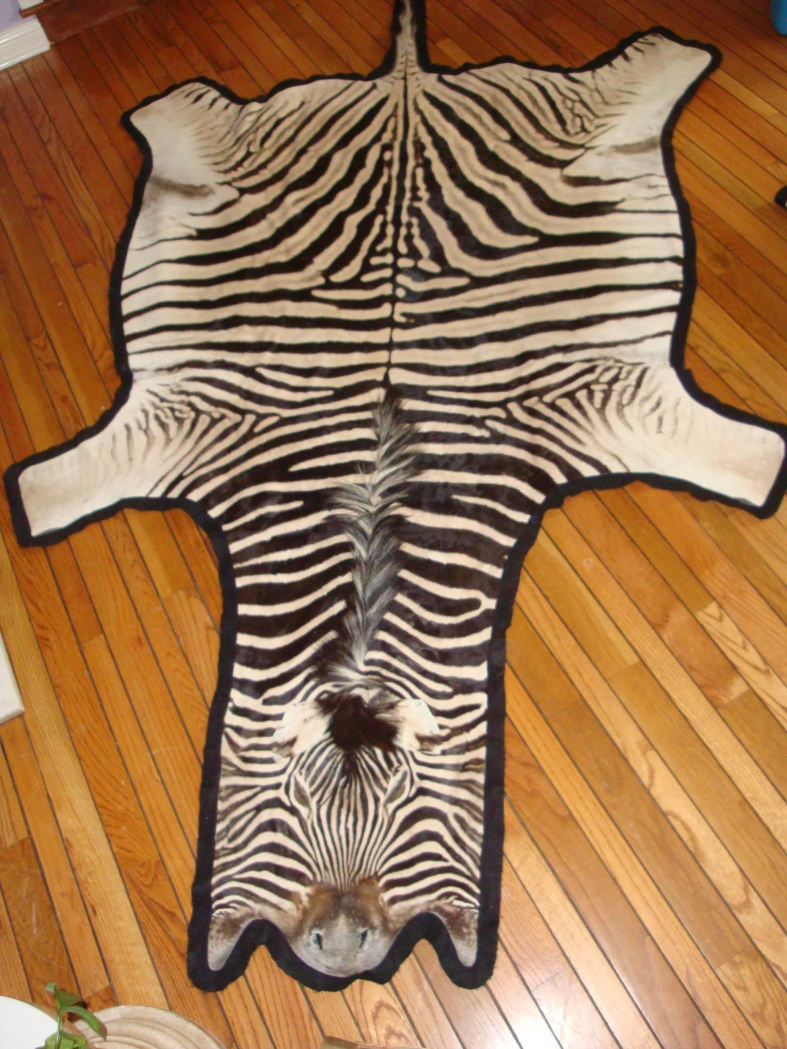 This is a Burchell Zebra from Africa. Has been felt lined and is in very good condition.