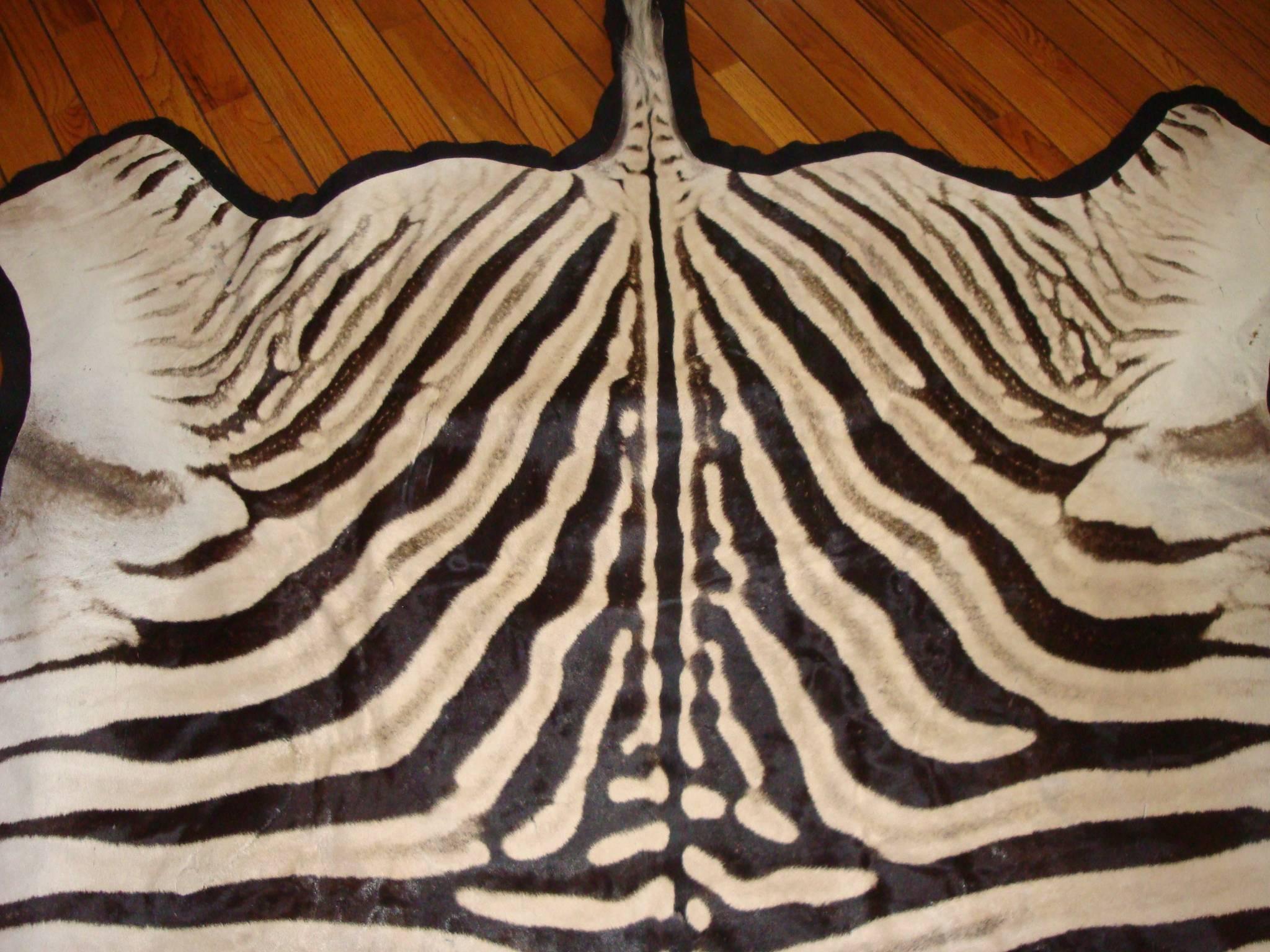 African Burchell Zebra In Good Condition In Chicago, IL