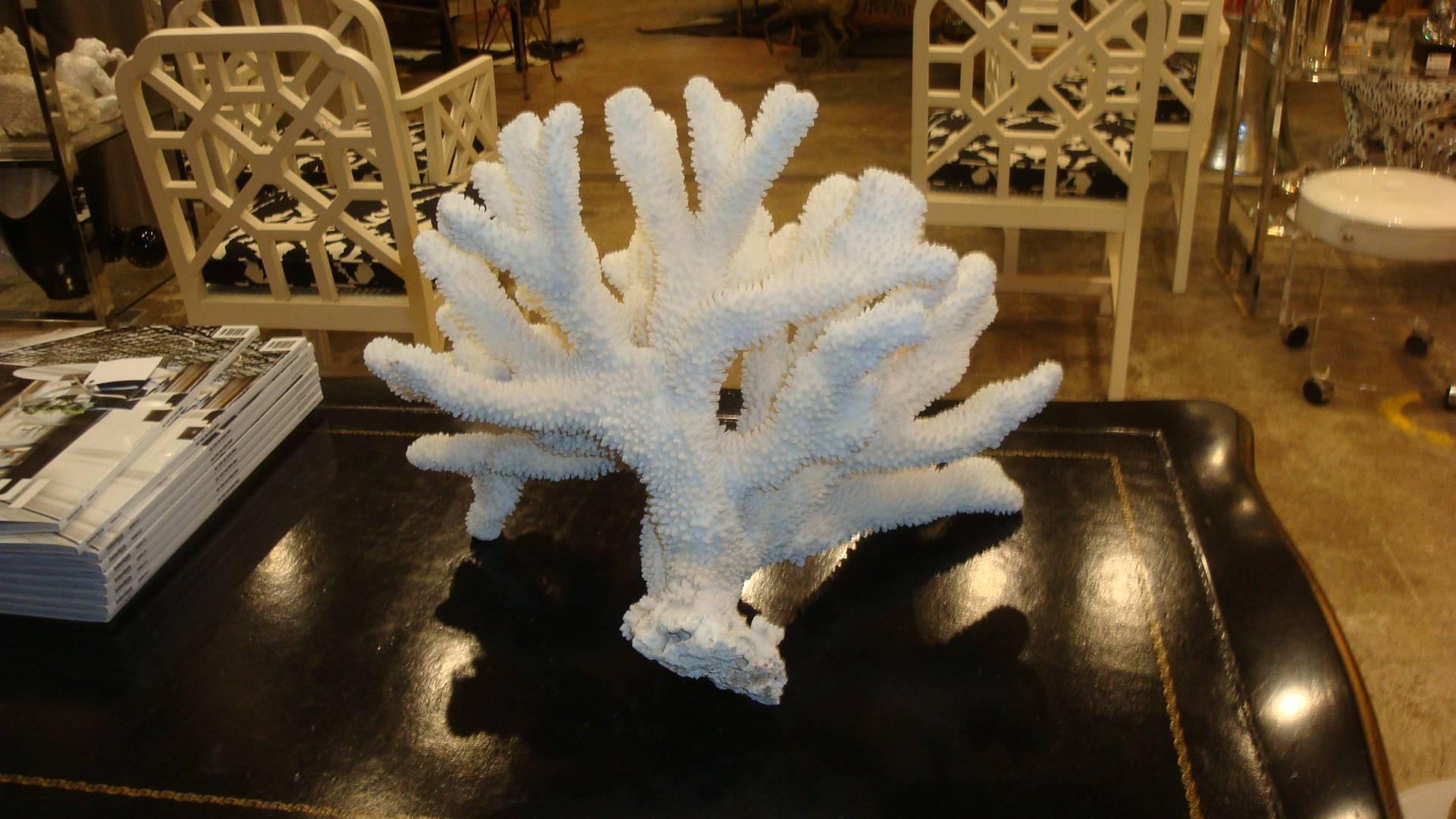 large coral sculpture
