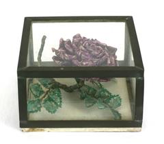 Unusual "Stamp" Rose in Box