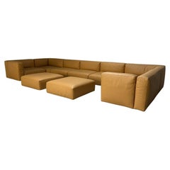 Cassina "271 Mex Cube"  10-Seat Sectional Sofa - In "Cat Z" Brown Leather