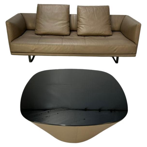 Walter Knoll "Prime Time 490" Sofa & "Ameo" Table - In Clay "Safari" Leather