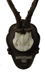 Roe Deer Mounted on Carved Black Forest Plaque